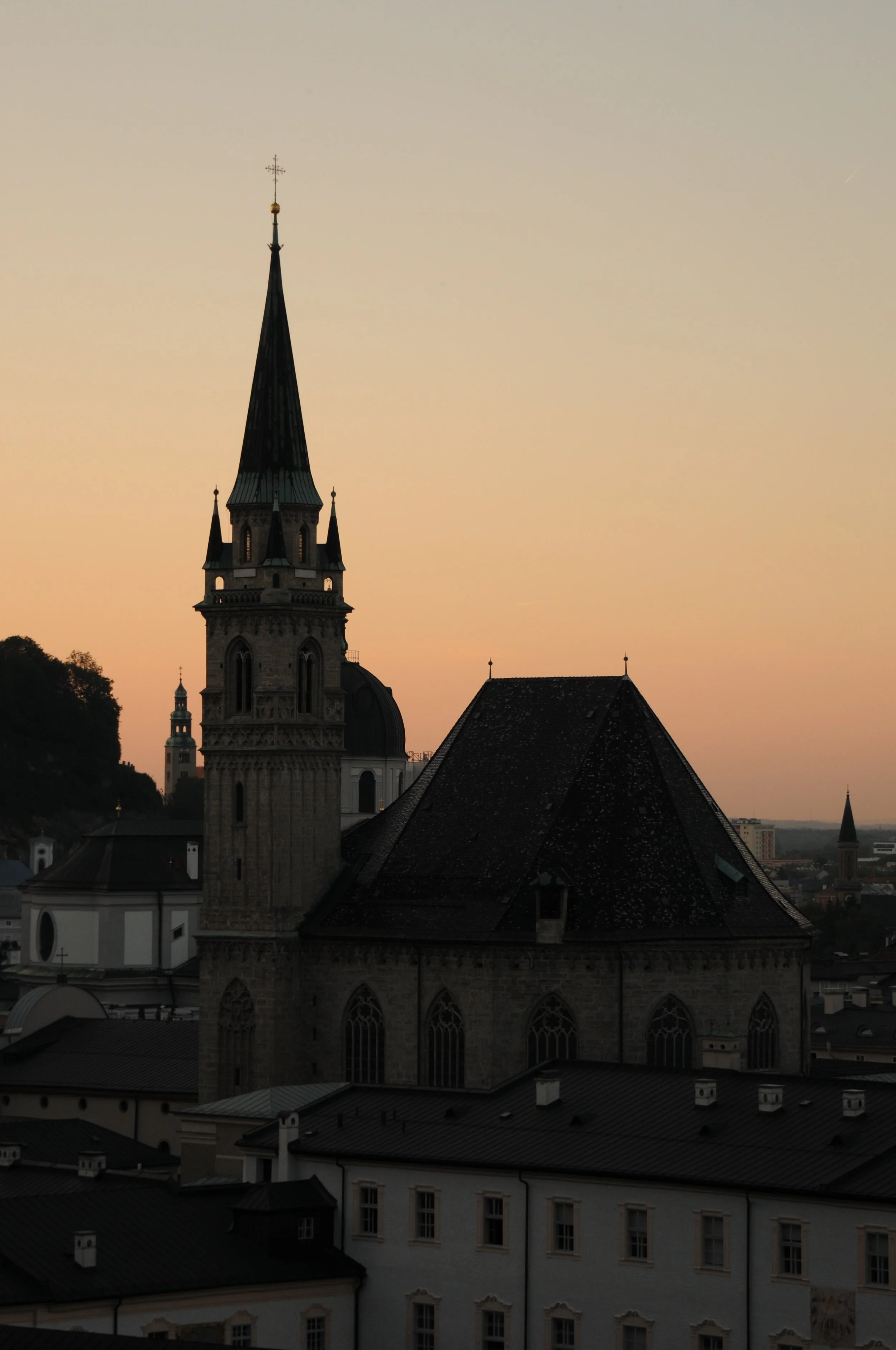 DSC_2297.jpg