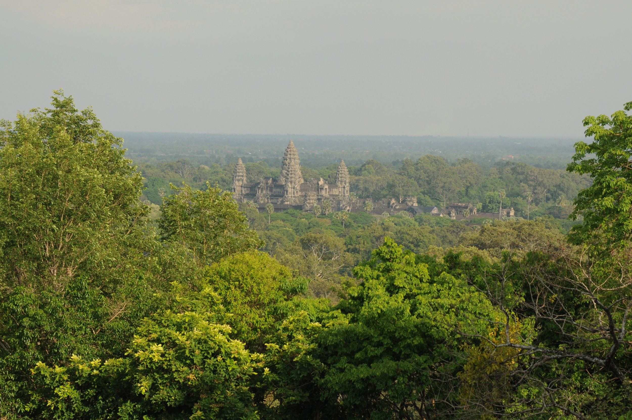 DSC_7141.jpg