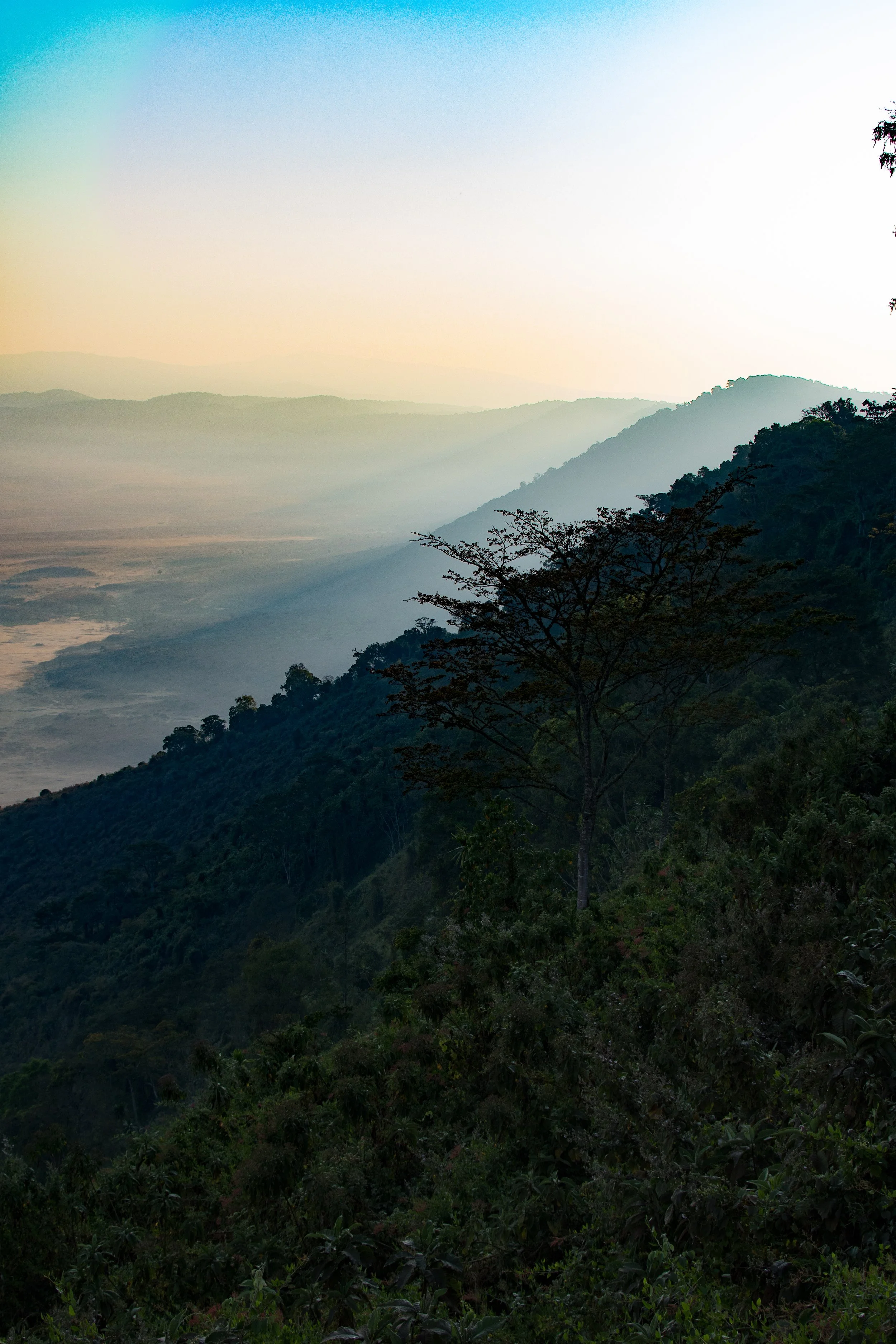 DSC_1011-1.jpg