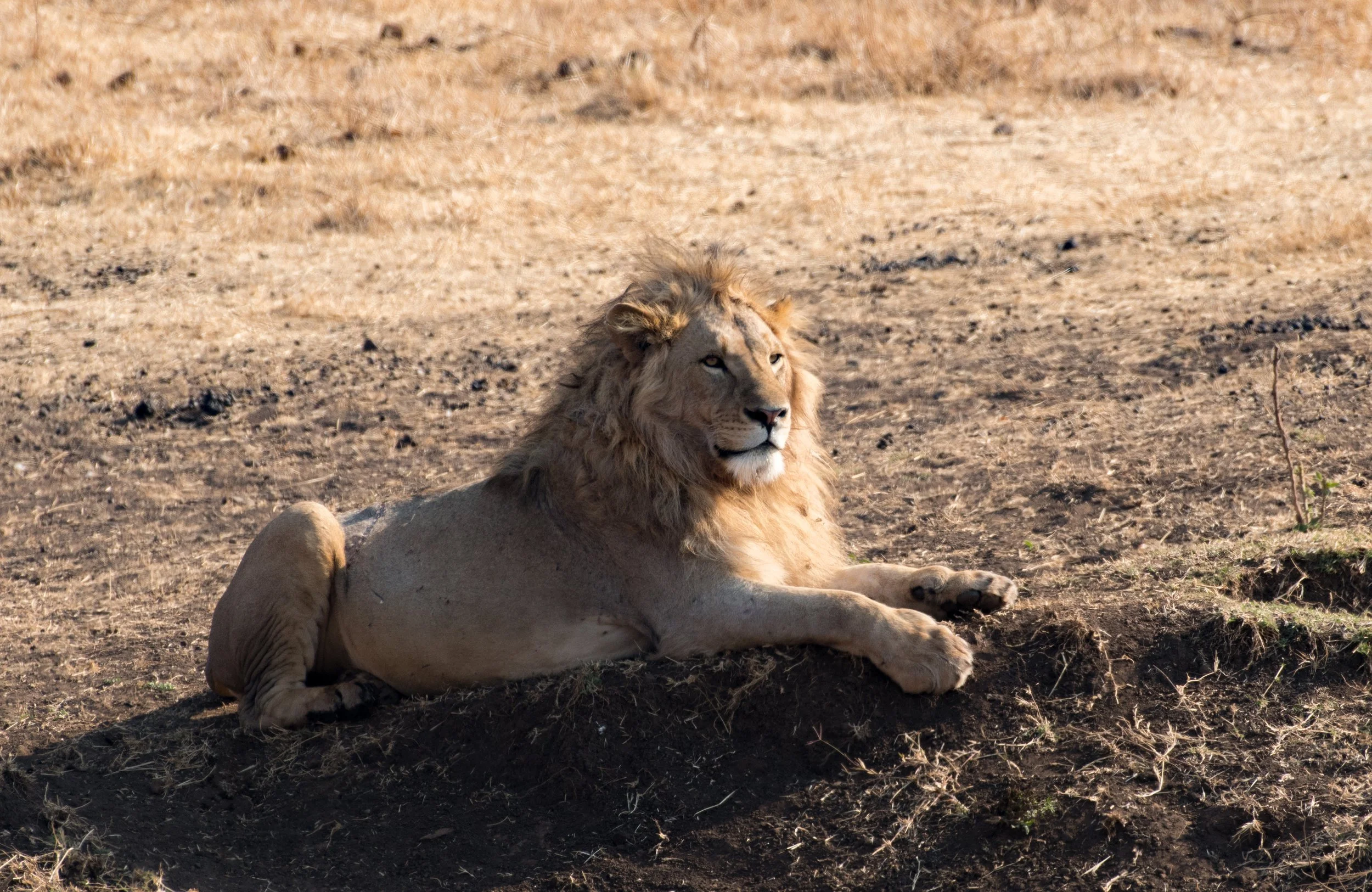 DSC_1045-1.jpg