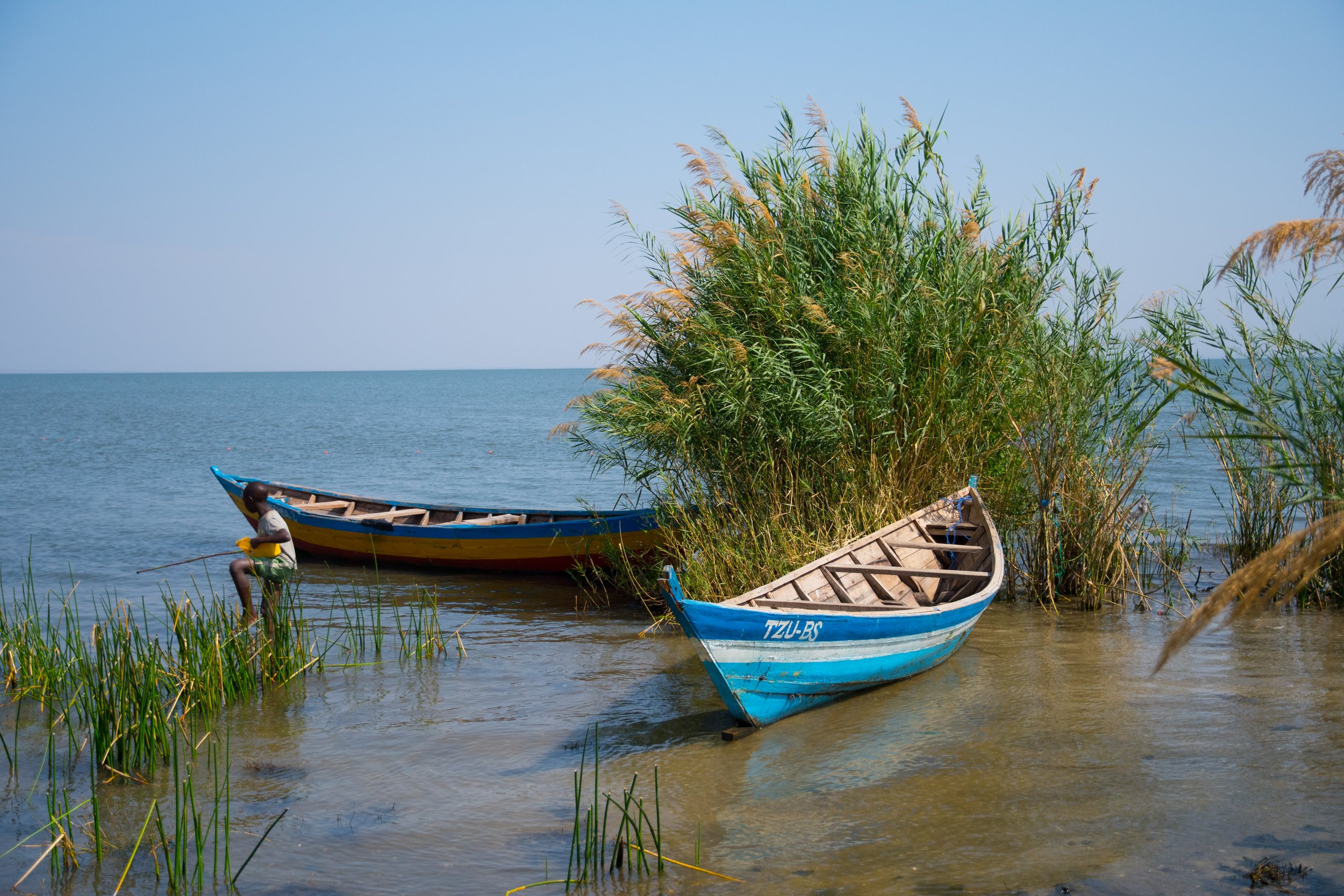 DSC_1797-1.jpg