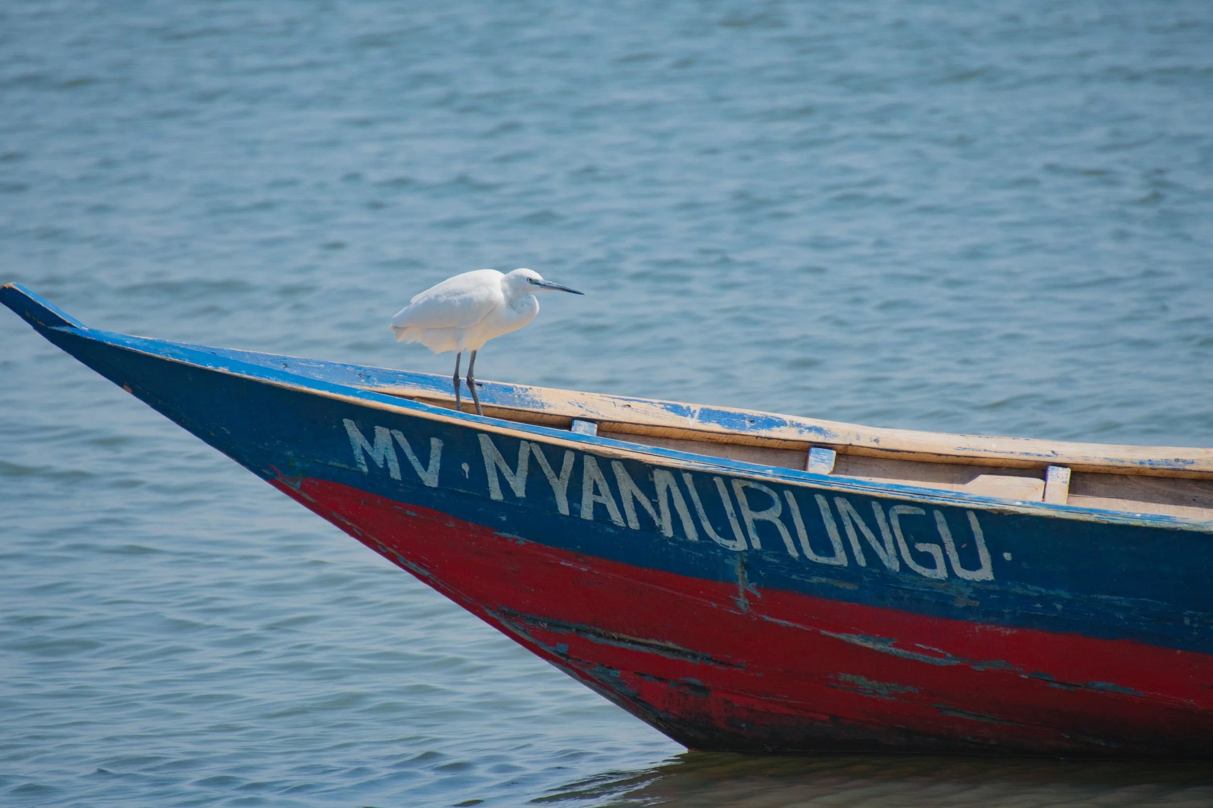 DSC_1839-1.jpg