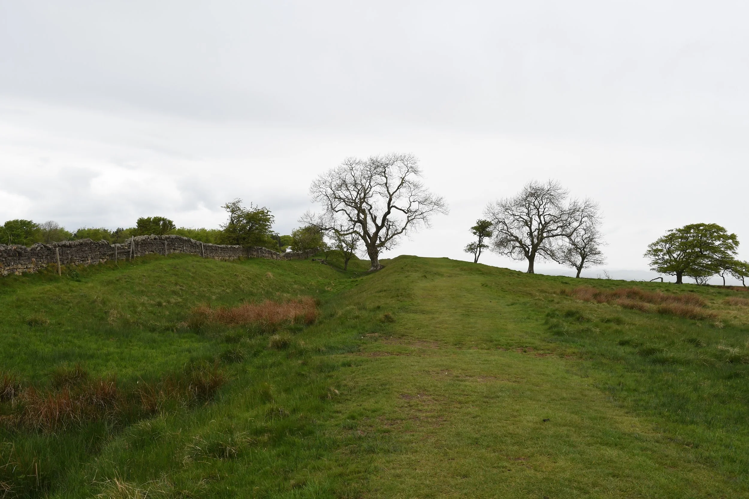 DSC_2098.jpg