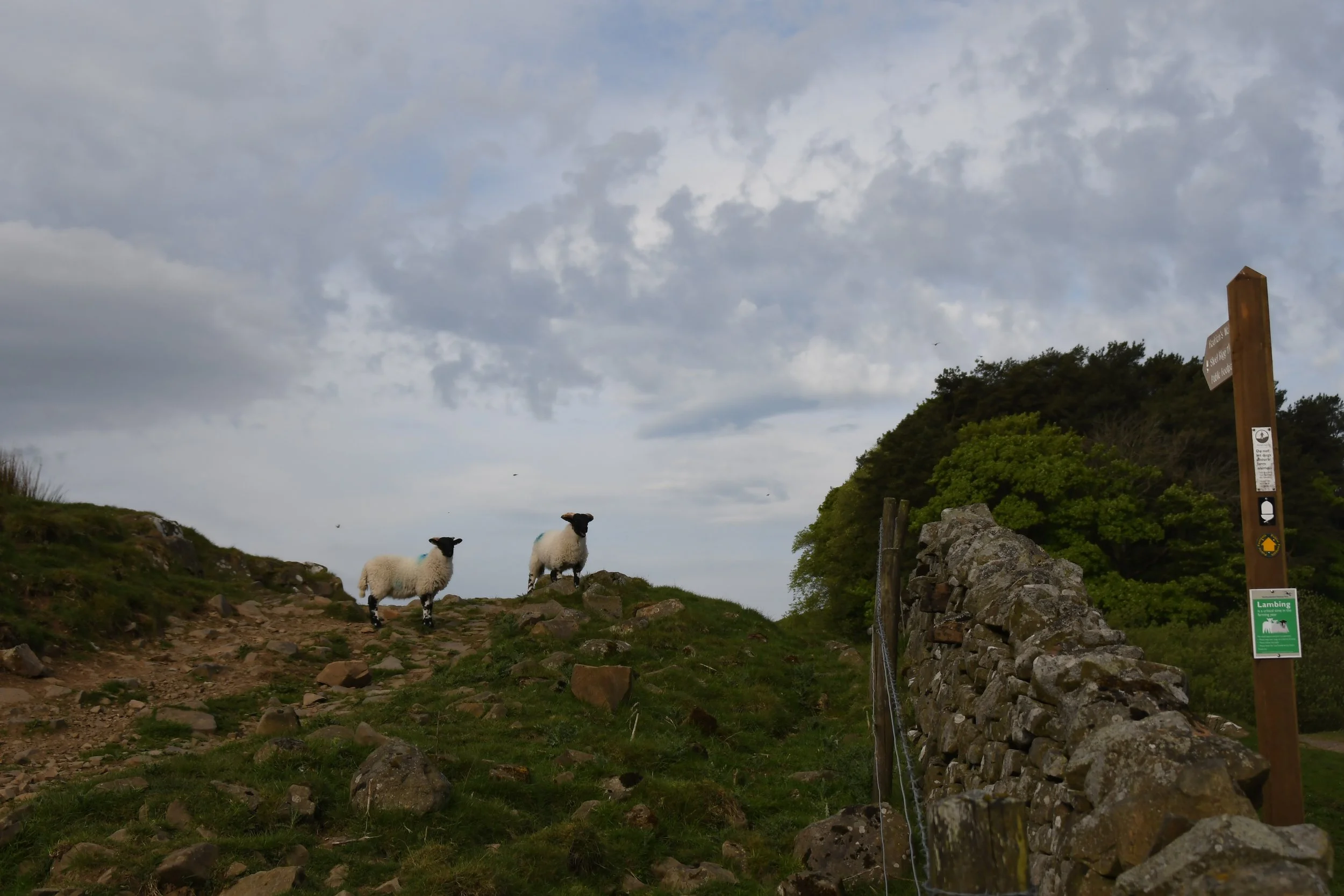 DSC_2330.jpg