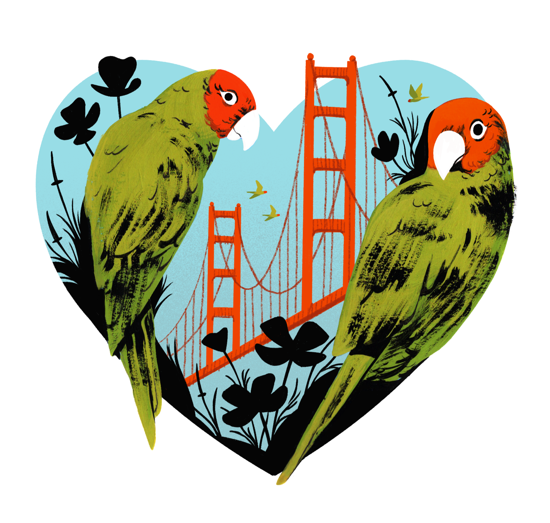 SFPARROTS_WEB3.png