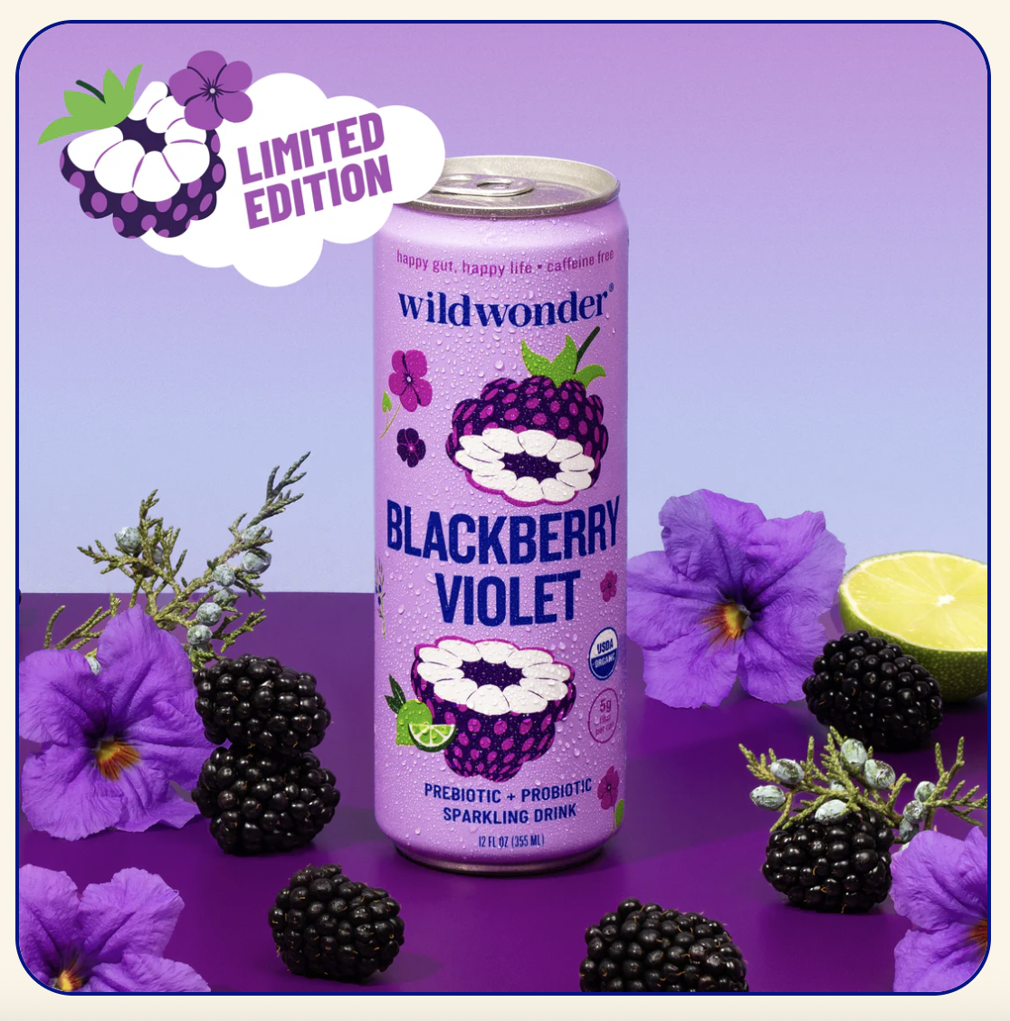 Screenshot 2025-09-04 at 8.13.10 AM.png