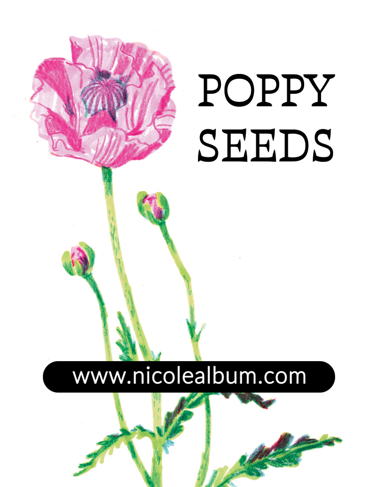 POPPY_RGB_SEEDPACKET copy.png