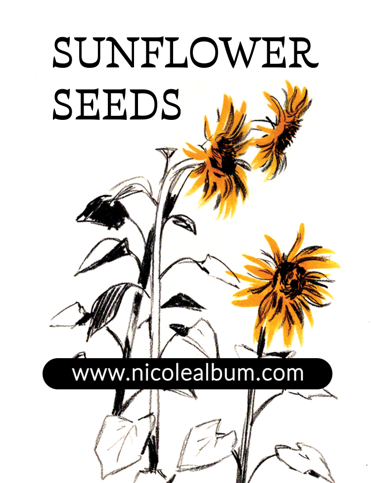 SUNFLOWER_RGB_SEEDPACKET .png