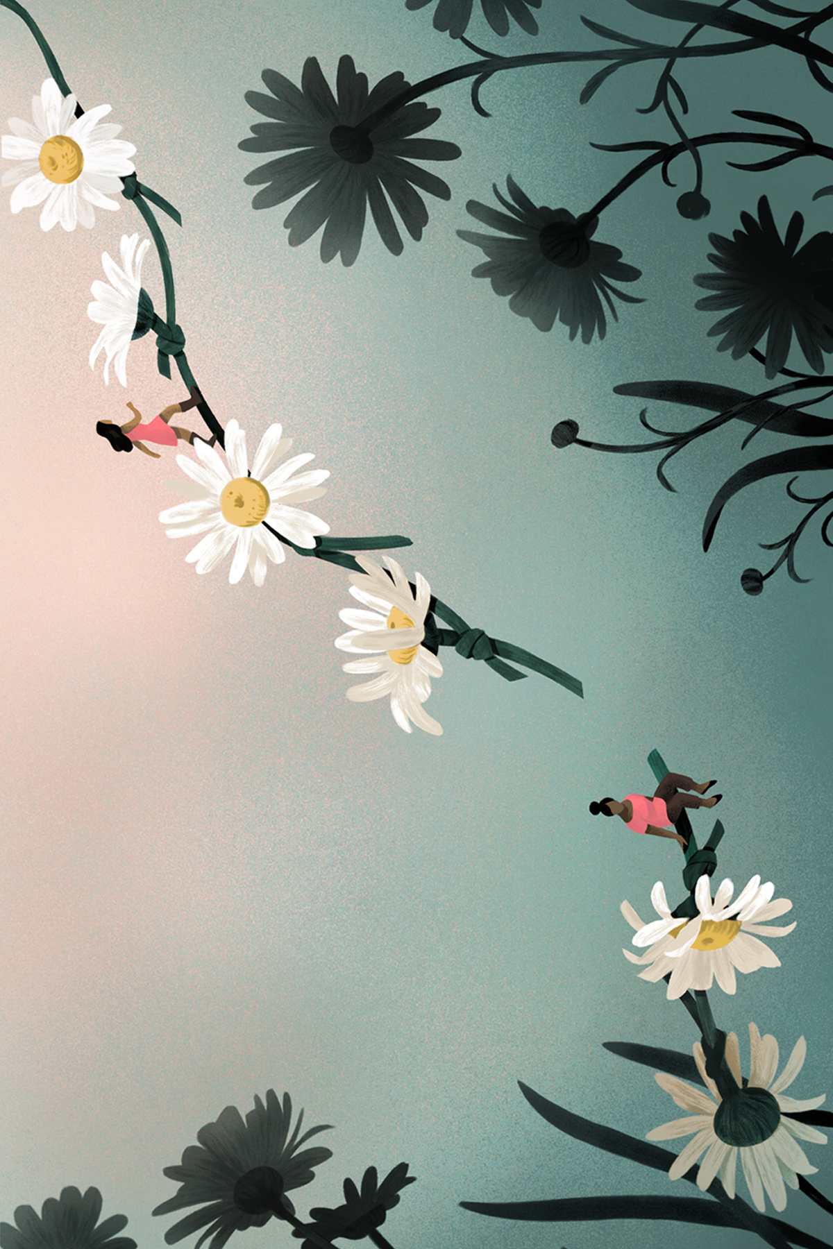 DAHLIASHOW_DAISY_BACK.png