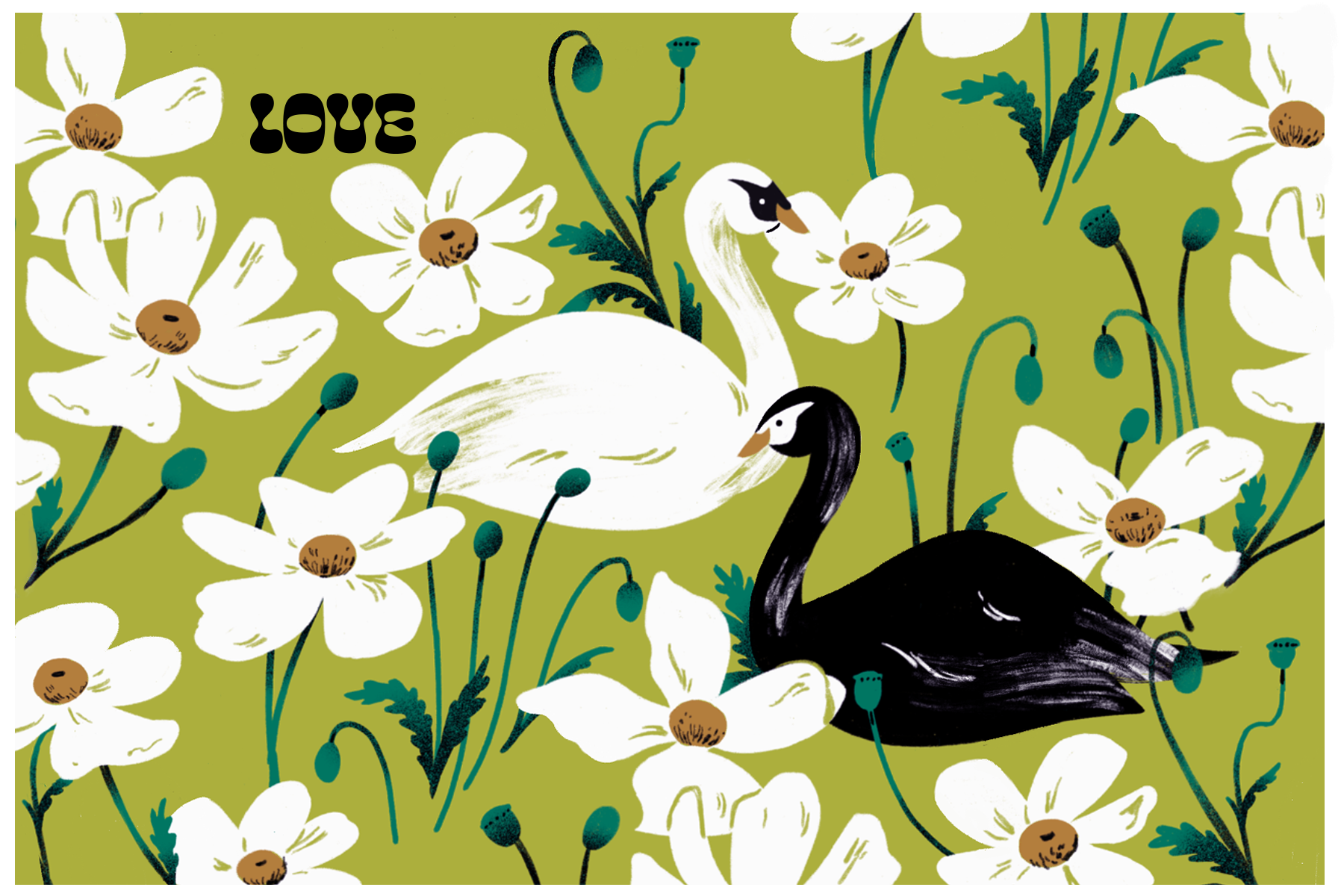 Swans Postcard