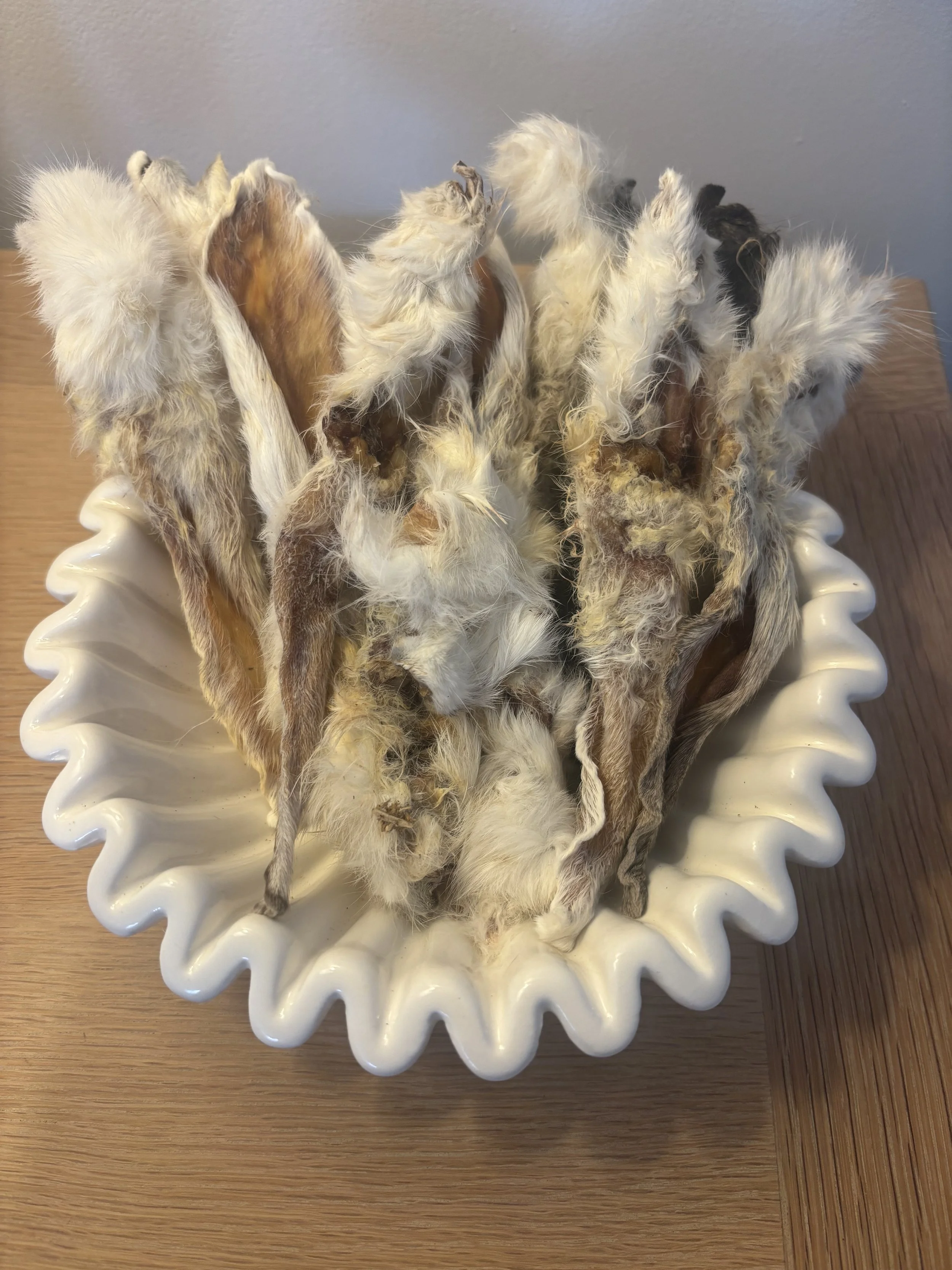 Rabbit Ears With Fur