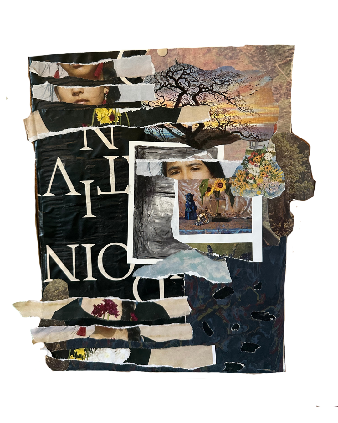 Alexia Evolution)  (3).png