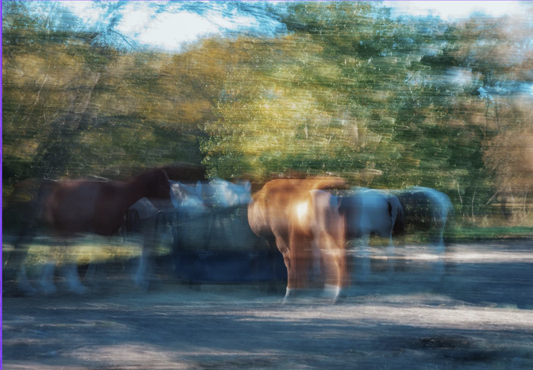 Screenshot 2026-01-19 at 11.47.02 PM.png