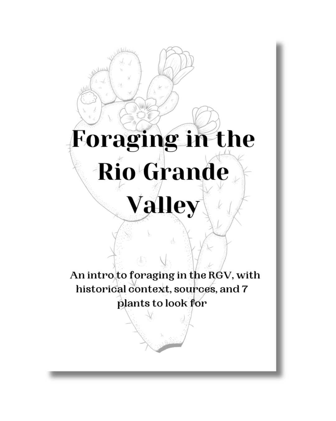 Alexia Evolution)  (5).png