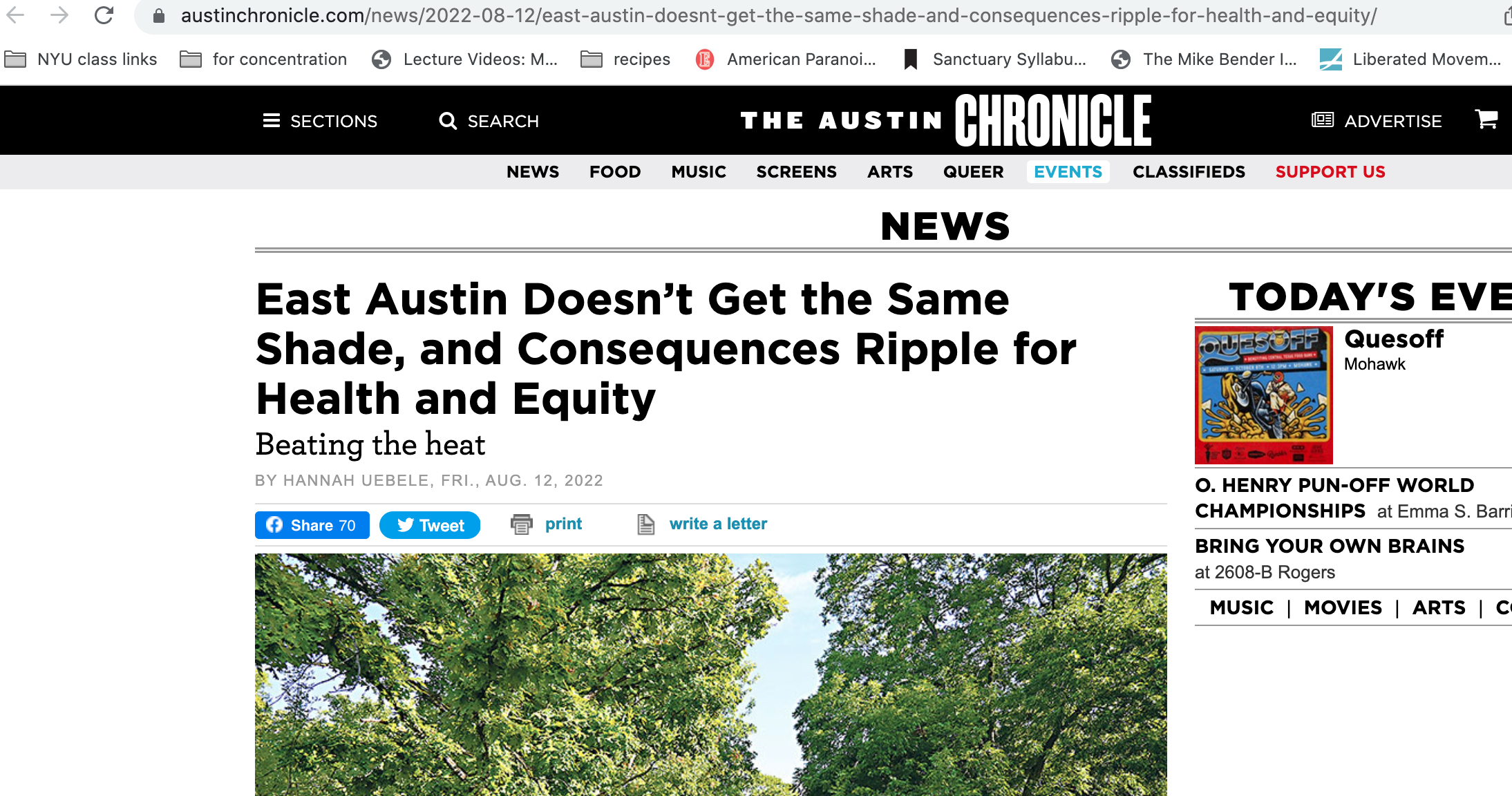 Two large trees with green leaves against a blue sky
