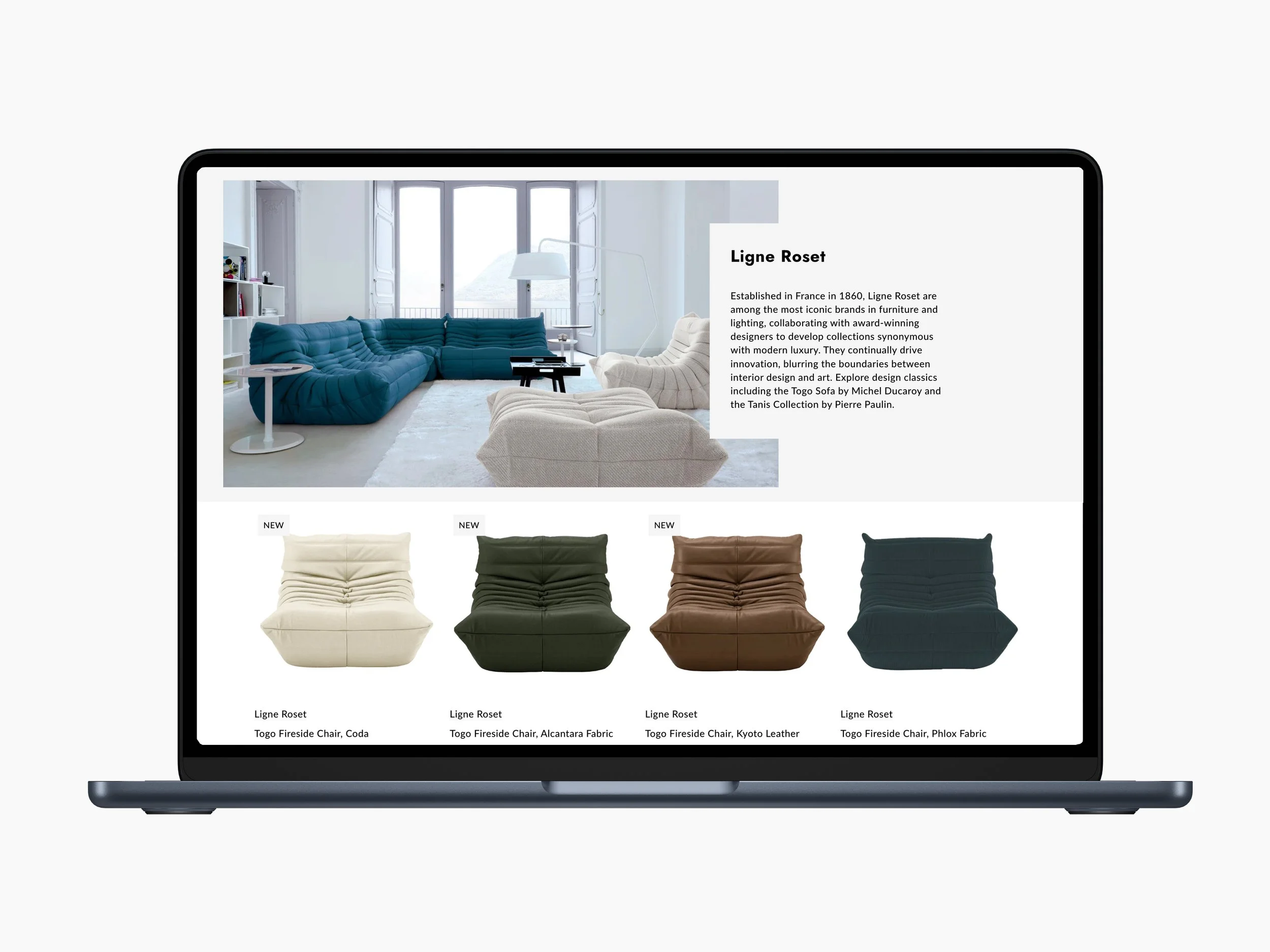 Computer screen displaying a webpage with a living room photo and text, showcasing various modern furniture pieces including a blue sofa, beige chair, and colorful leather chairs.
