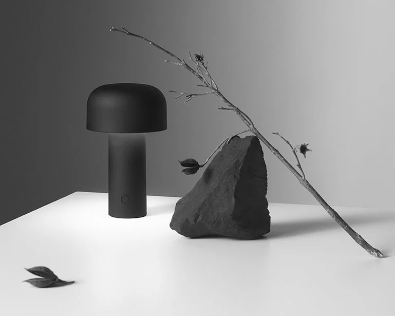 A minimalistic black lamp, a large rough rock, and a leafless tree branch with small leaves, arranged on a white surface against a light gray background