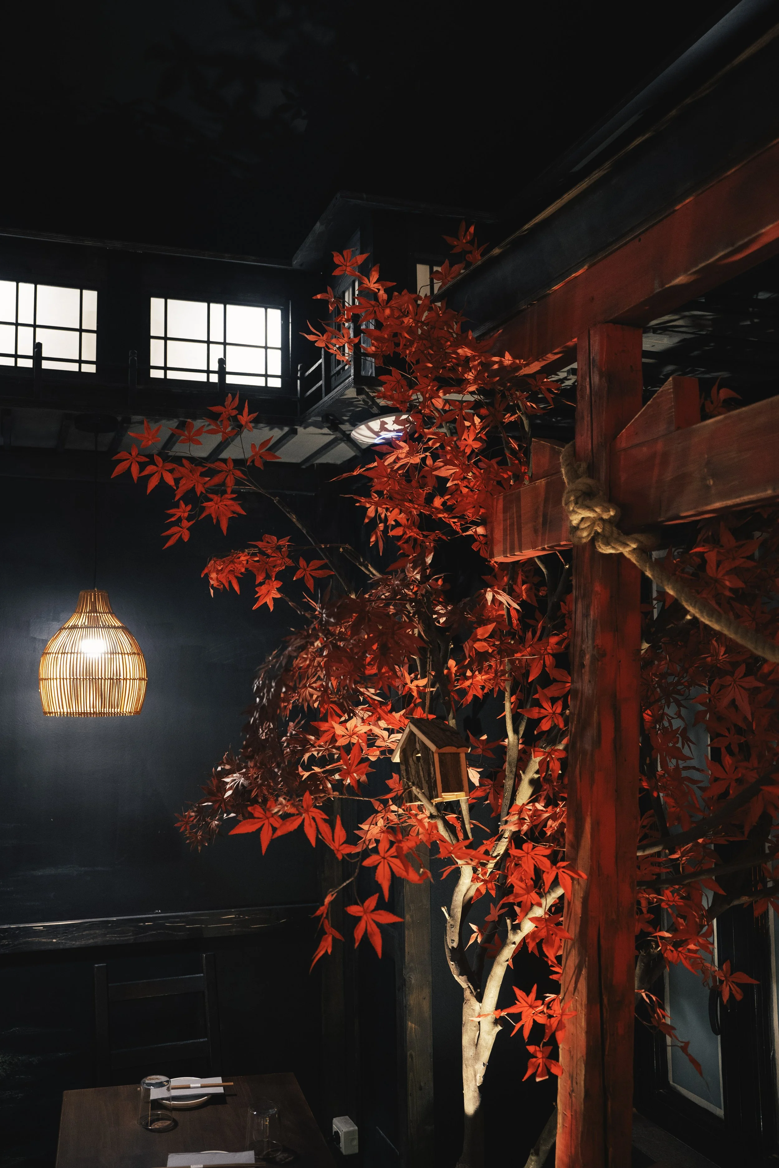 Interno di ristorante con una pianta di acero rosso e decorazioni in legno, illuminato da una lampada a forma di gabbia e luci naturali da un lucernario.