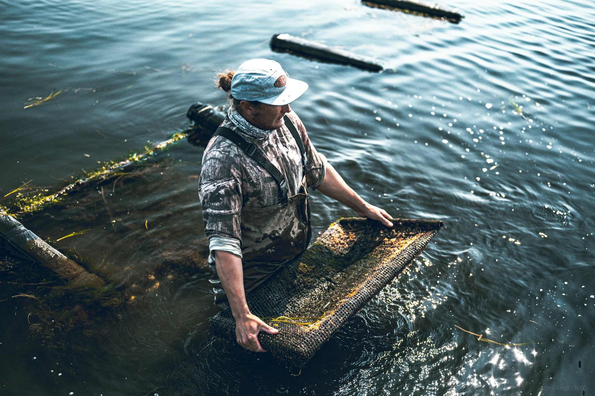 A person in camouflage clothing and a white cap stands waist-deep in water, oyster farming.