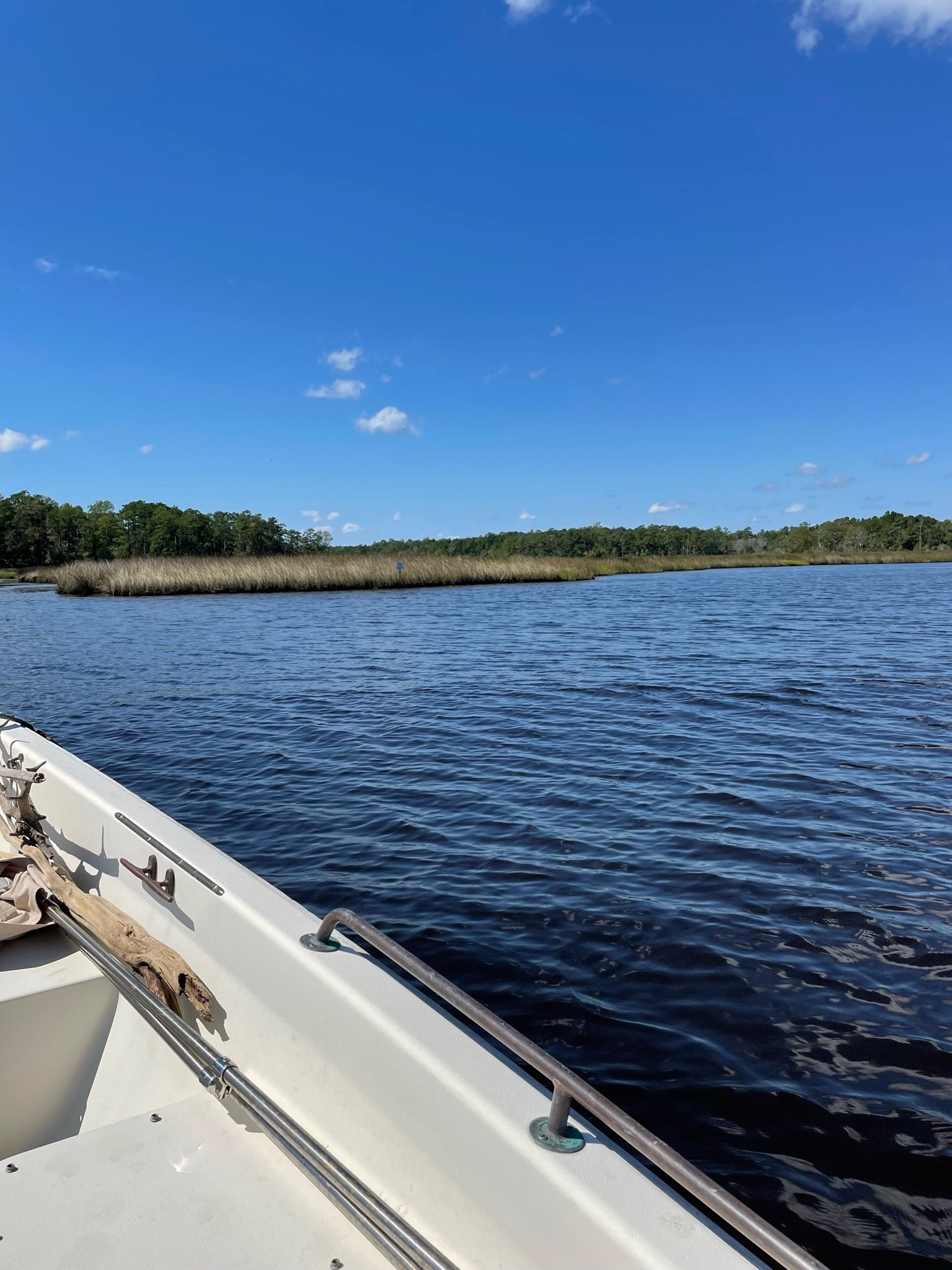 A view from a boat on a river with calm water, with land covered in grasses and trees in the distance under a blue sky with scattered clouds.