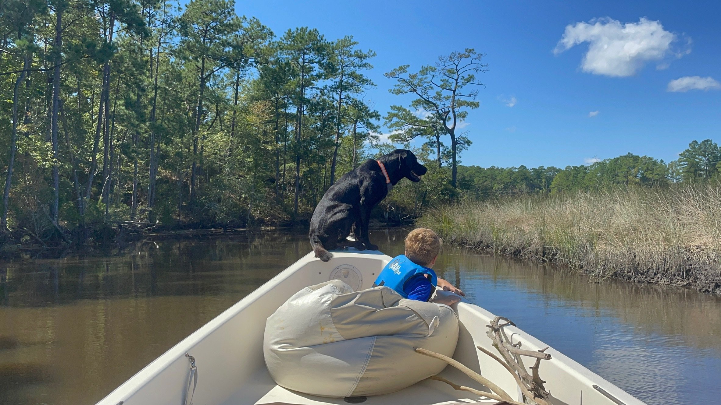 A boy and a black dog on Marsh Tour, with the dog sitting on the edge and the boy sitting on a large bag, surrounded by trees, tall grass, and a blue sky with clouds.