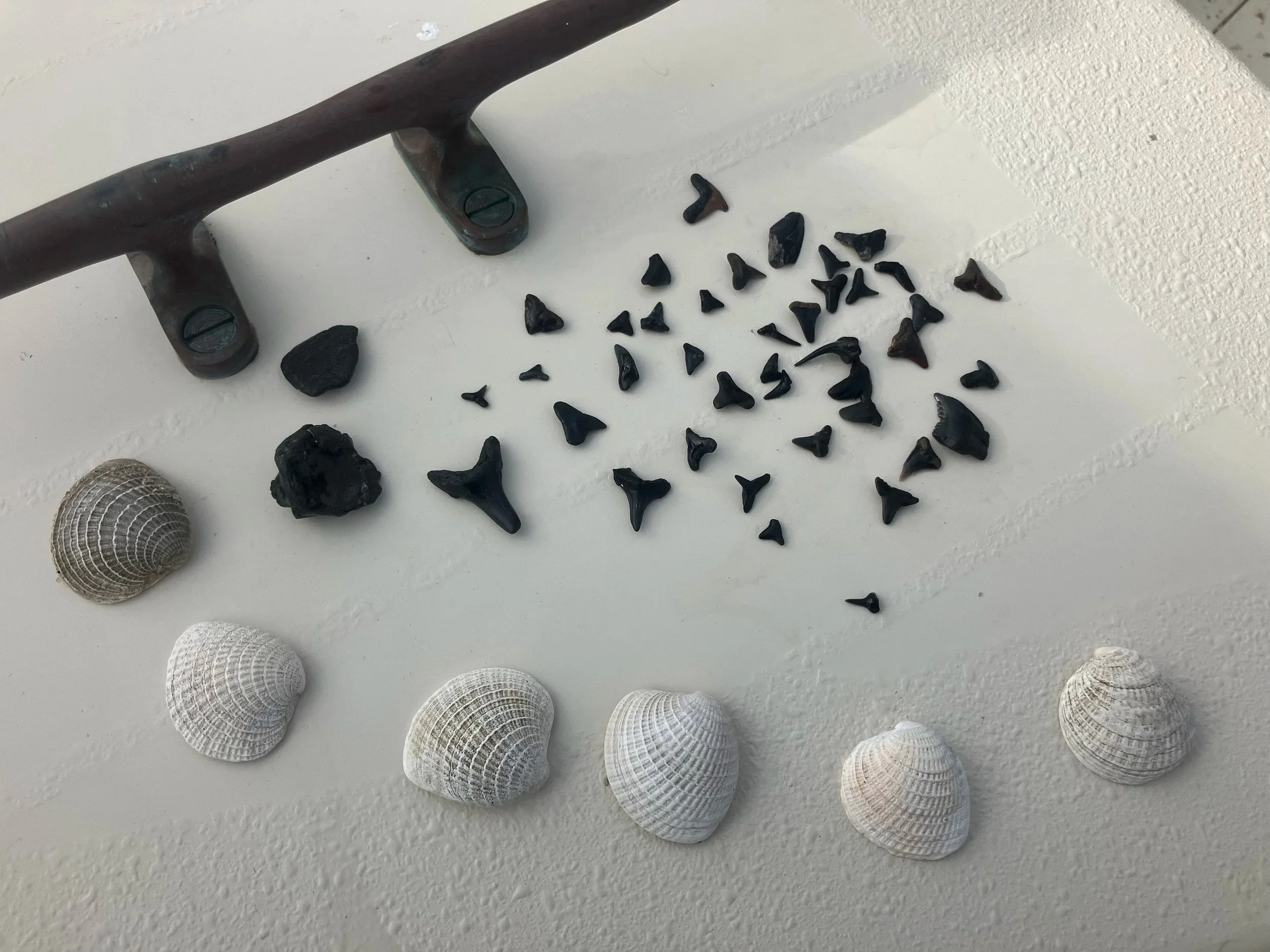 Best Things To Do In Emerald Isle With Kids