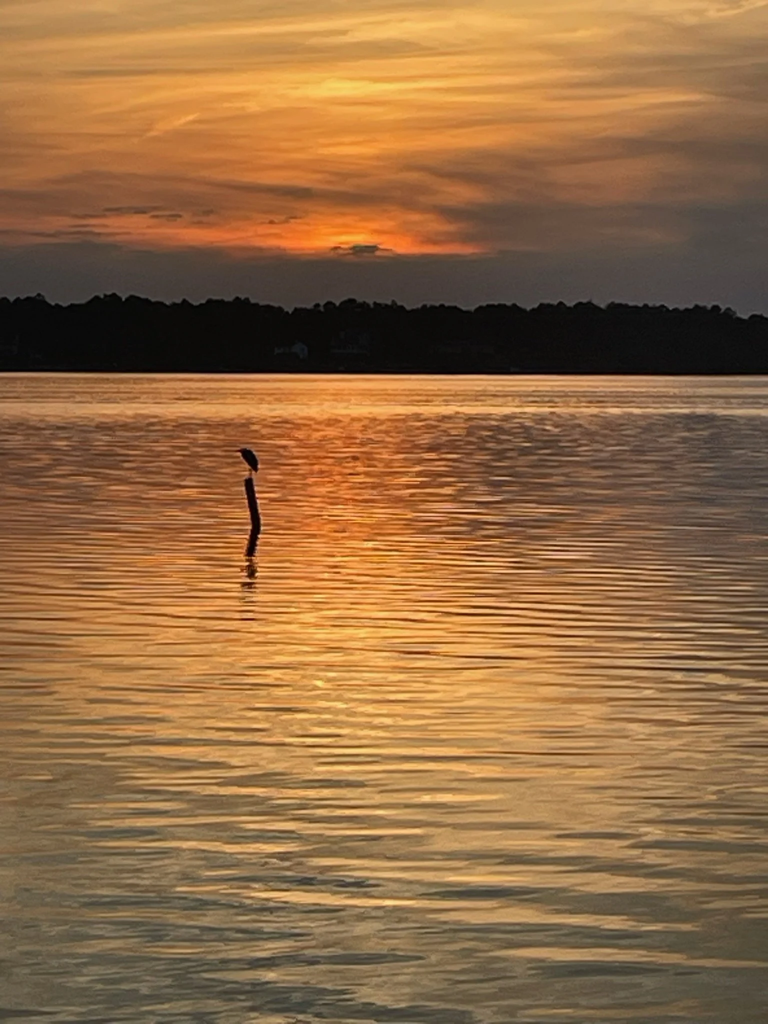 A sunset over a body of water with a silhouette of a small bird perched on a piece of driftwood or a stick in the water.