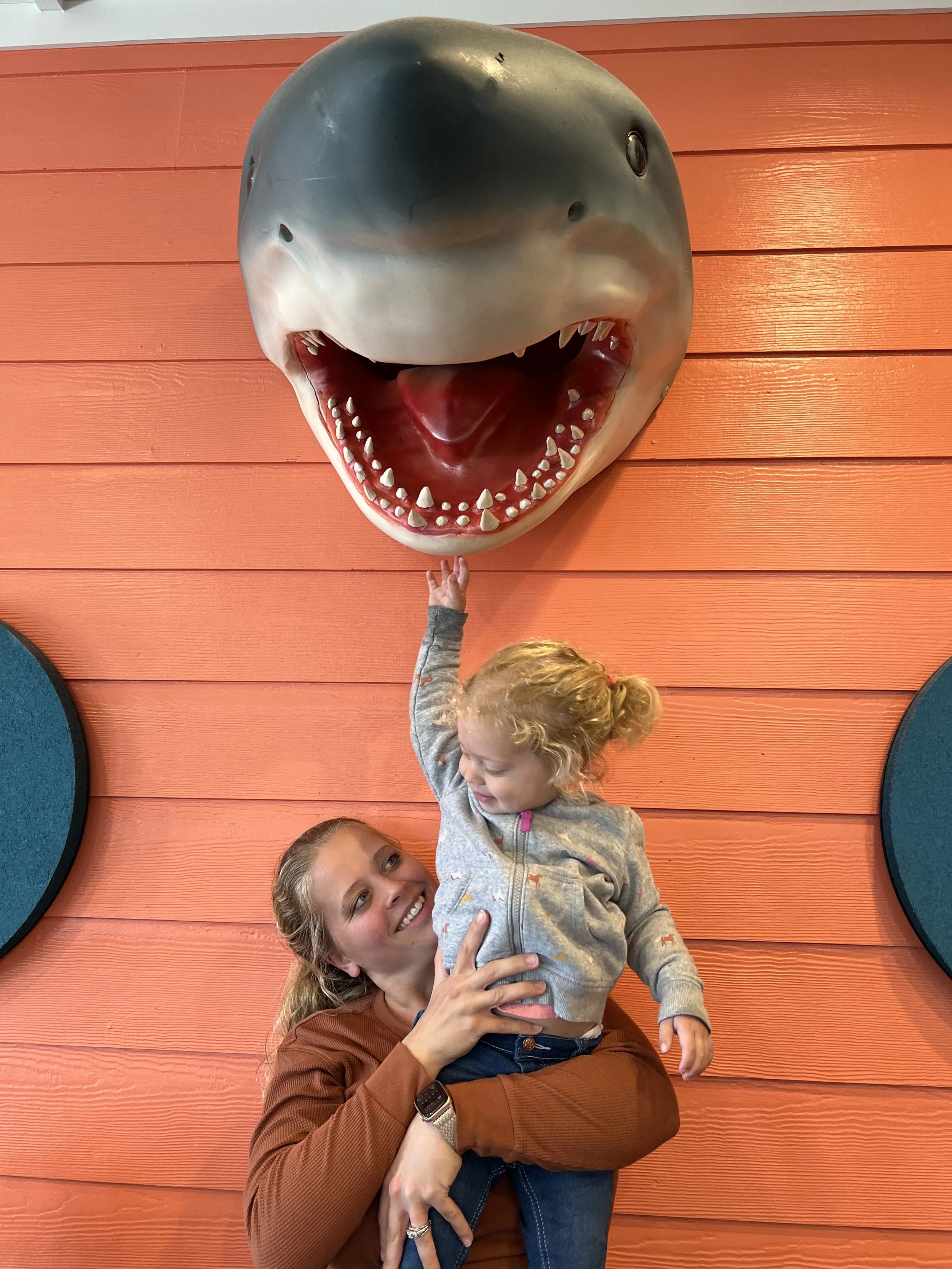 Great White Shark Head Sculpture at Surf's Up Restaurant.