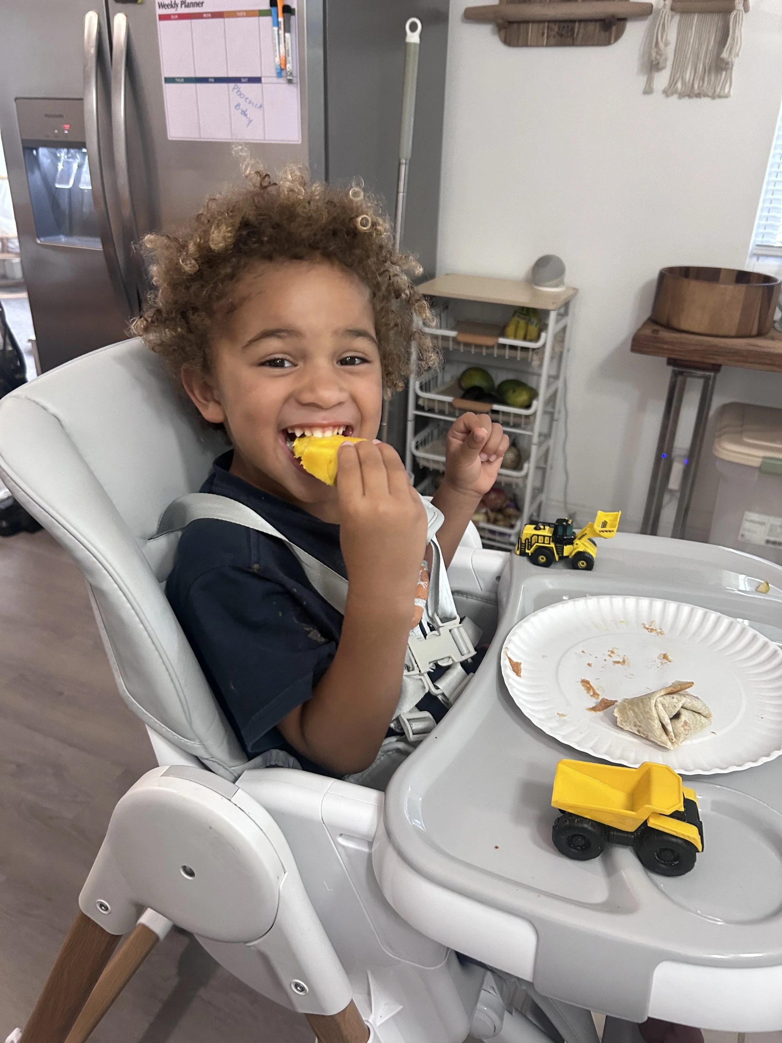 Big TODDLER APPROVED nuetral HIGH CHAIR