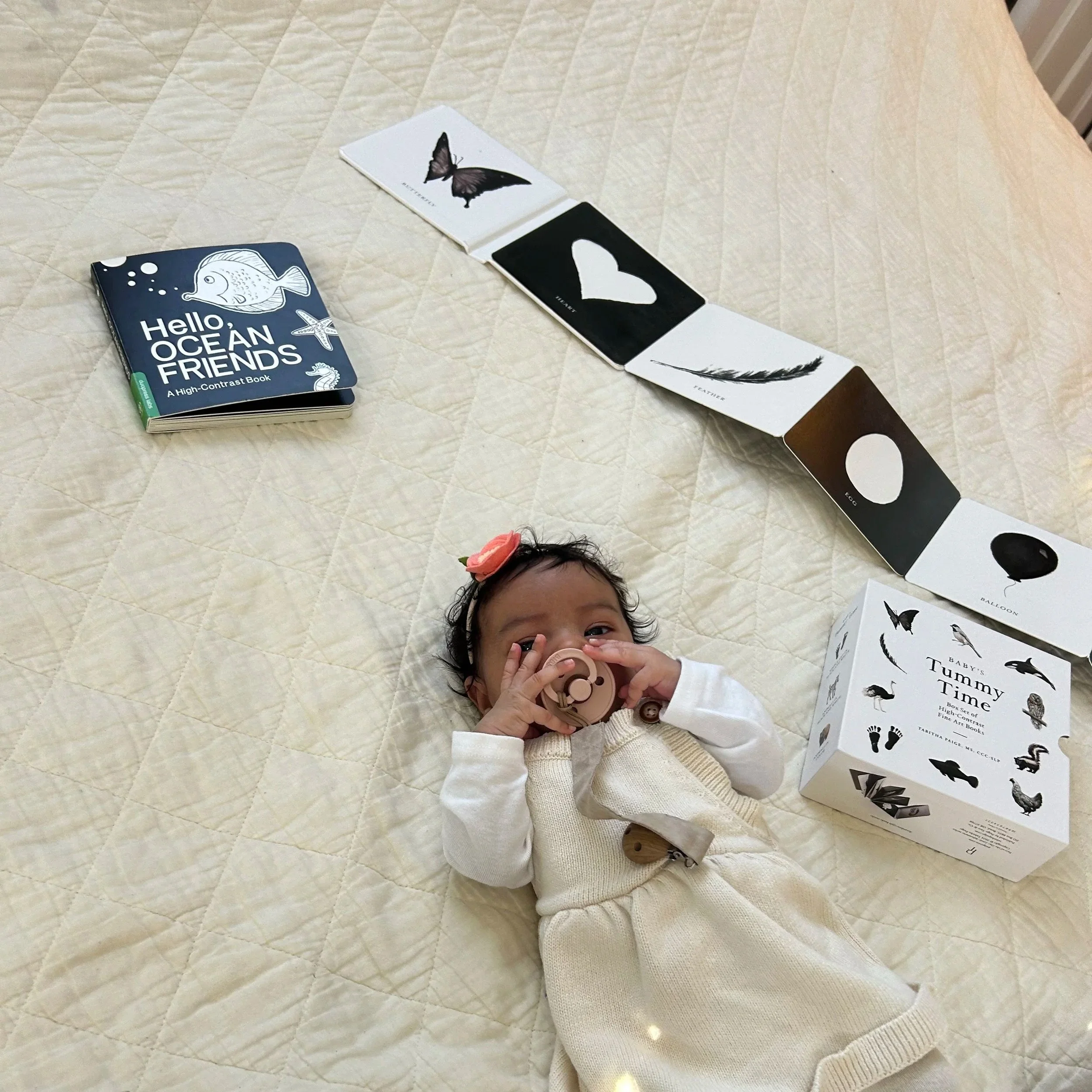 A High Contrast BABY BOOK that is Stylish and Functional