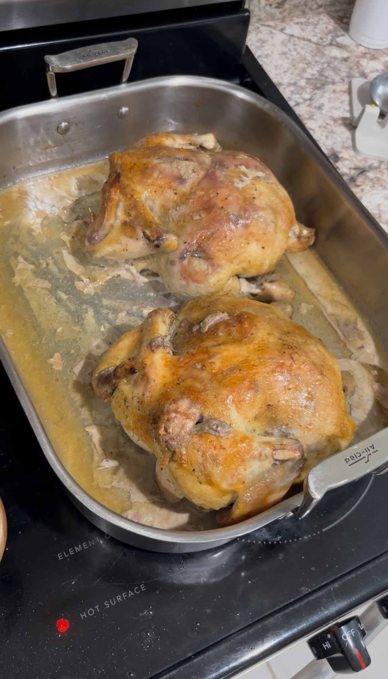 A Roasting Pan to Handle Large Meals
