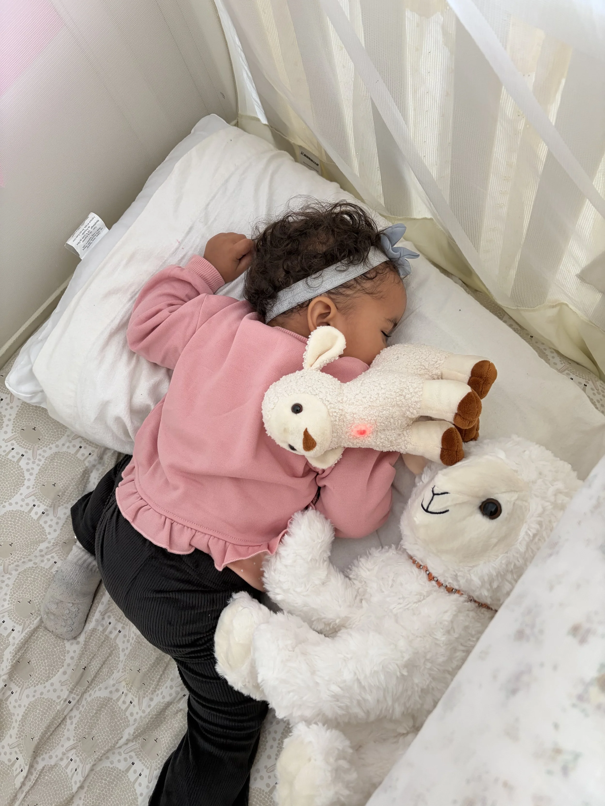 A Lamb Plush That Sings Hymns and Repeats Scripture — a sweet way to fill little hearts with faith. When you’re raising many children, every bit of gentle influence matters.
