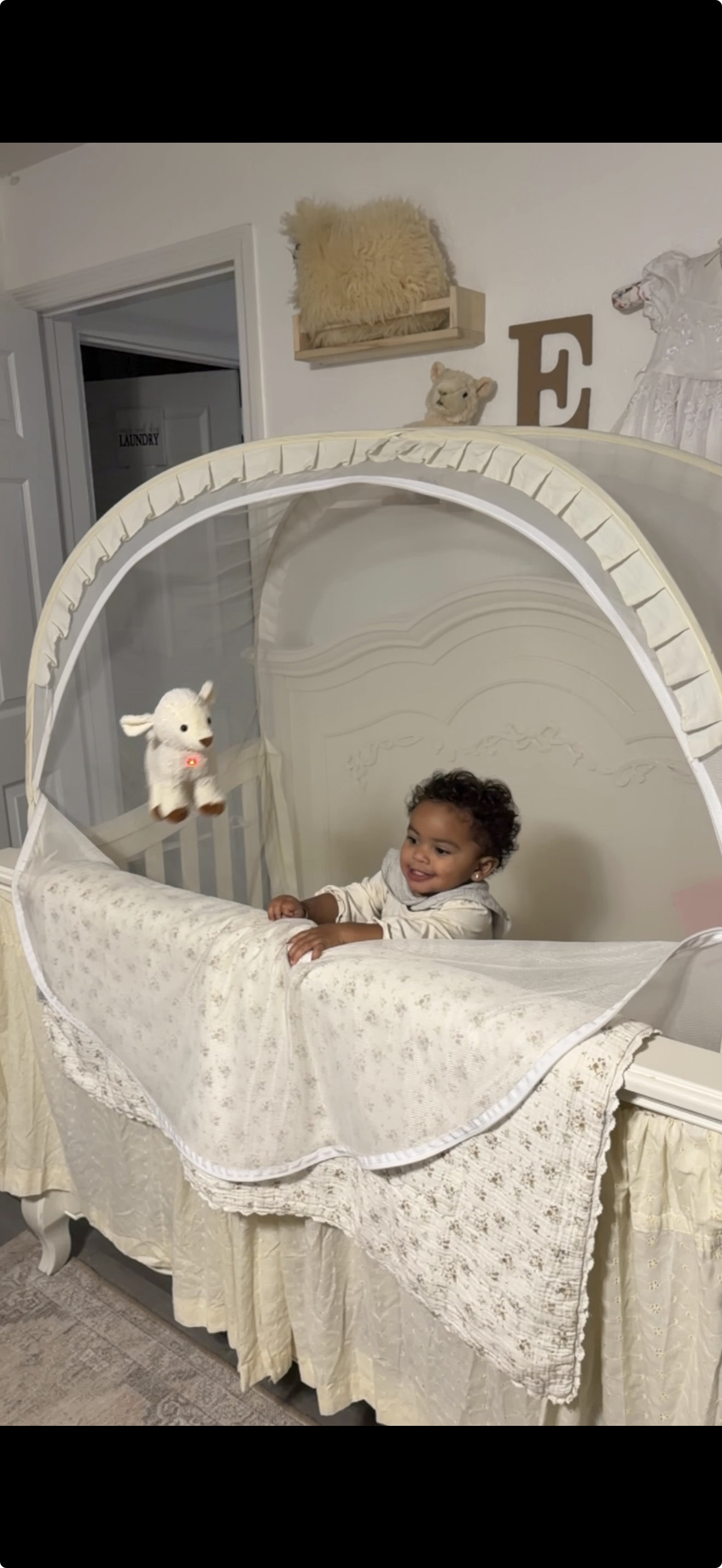 An Aesthetically Pleasing Crib Tent for Toddlers