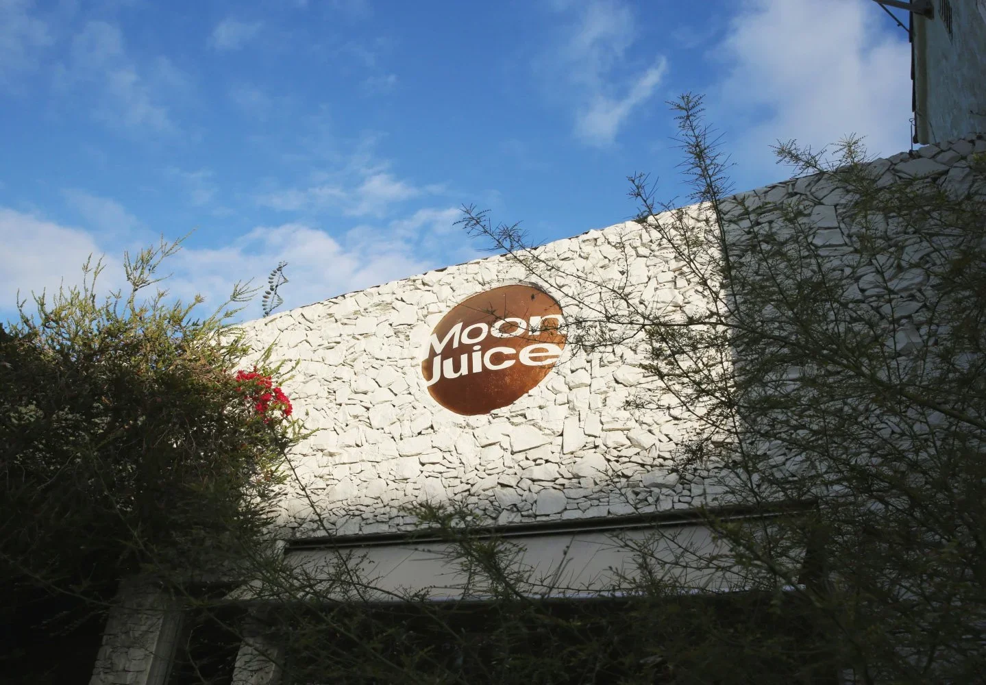 moon-juice3.webp