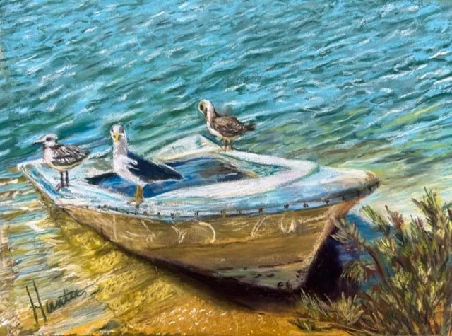 Boat and Birds Alvar Portugal
