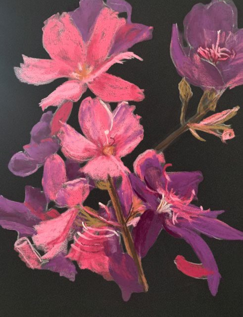 A painting of pink and purple flowers against a black background.