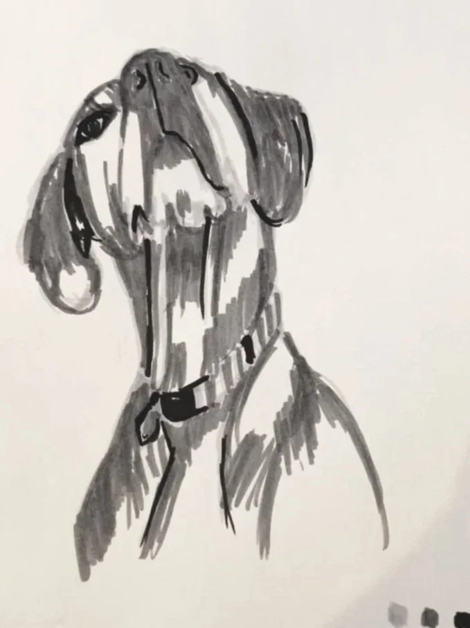 Black and white sketch of a dog wearing a collar, facing left with its head slightly tilted upward.