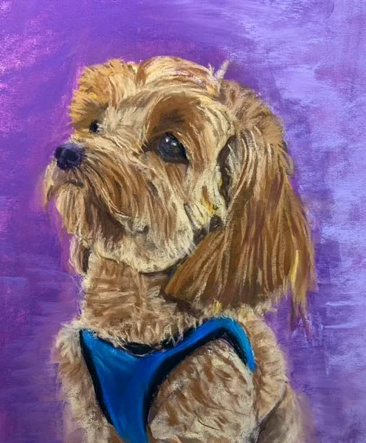 Bixie with Blue Collar