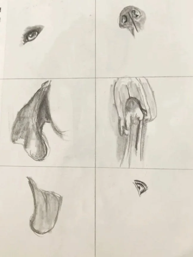 Six pencil sketches of facial and bodily features arranged in a grid, including an eye, an owl face, a nose, a hand, a tongue, and a small doodle.