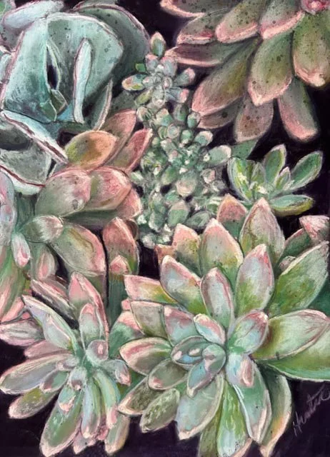 Succulents
