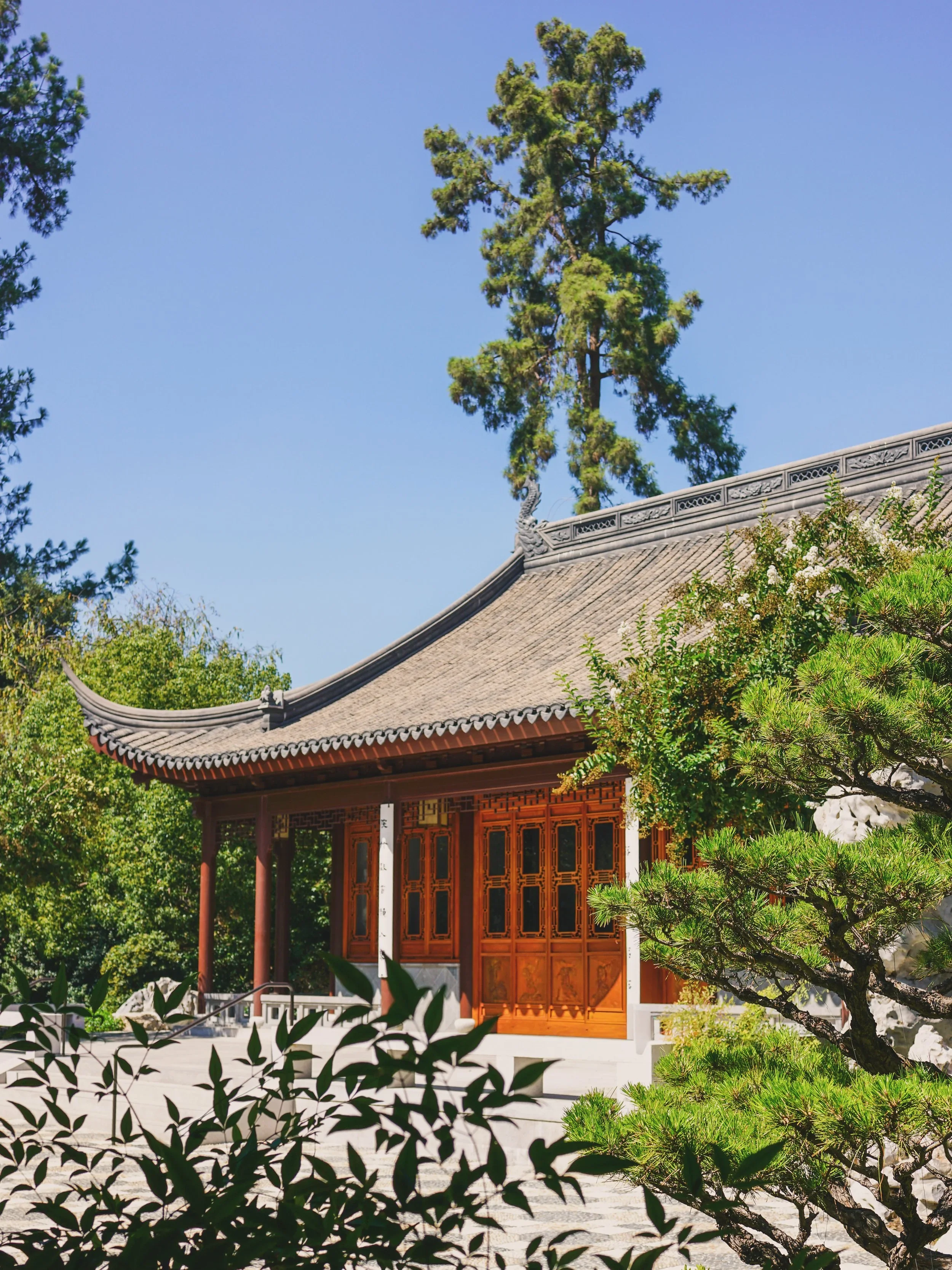 Traditional Japanese-style wooden building surrounded by green trees and bushes, with a clear blue sky in the background.