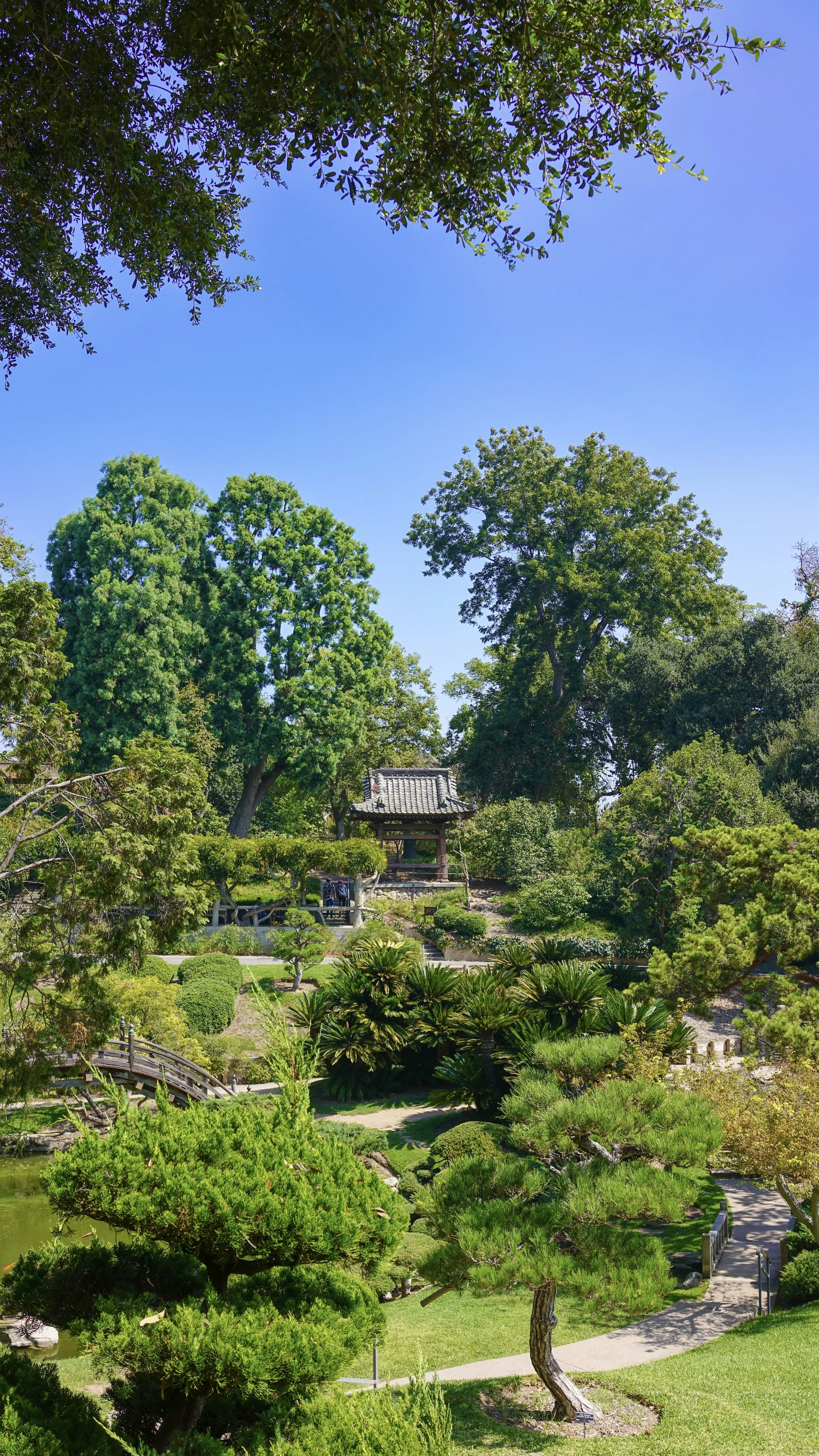 A lush, green Japanese garden with various trees, shrubs, and a small pond, featuring a traditional wooden pavilion and multiple walkways under a bright blue sky.