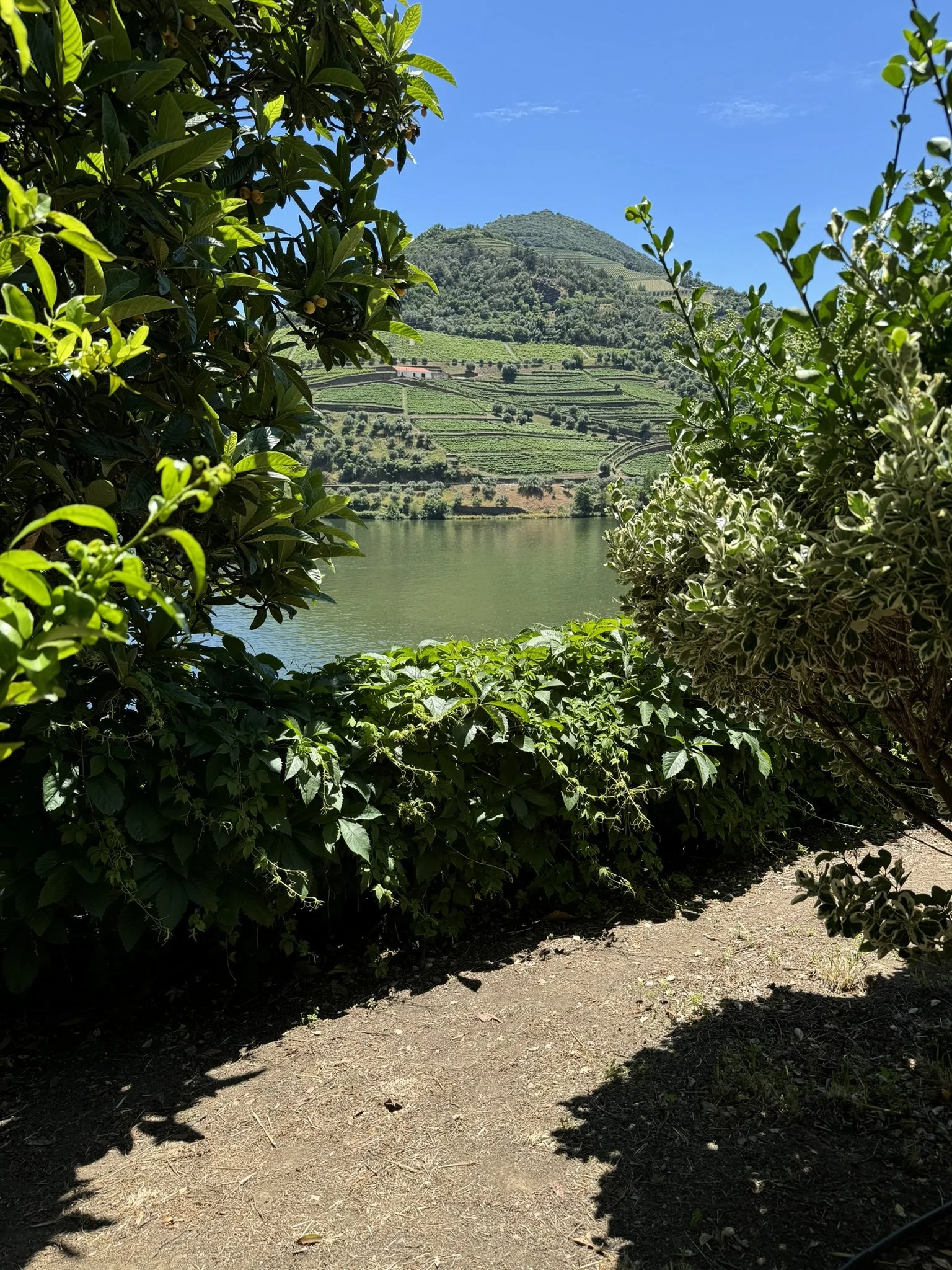 The Complete Itinerary