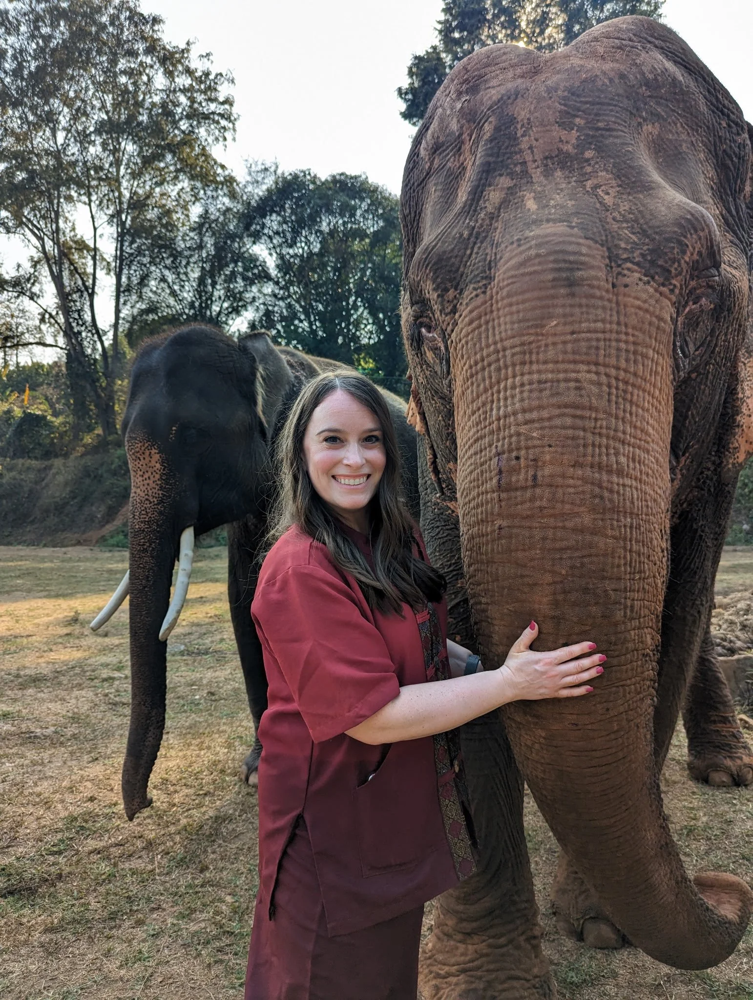 A woman smiling and hugging an elephant outdoors, with another elephant in the background.