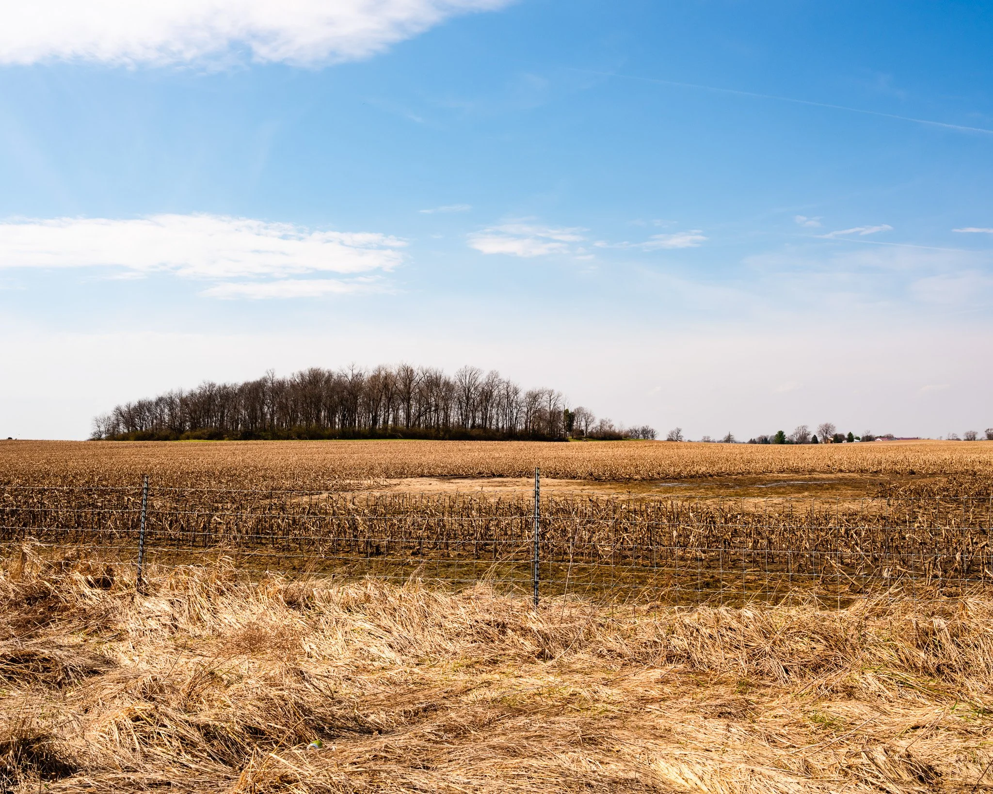 The heart of it all, the cornfields I belong to