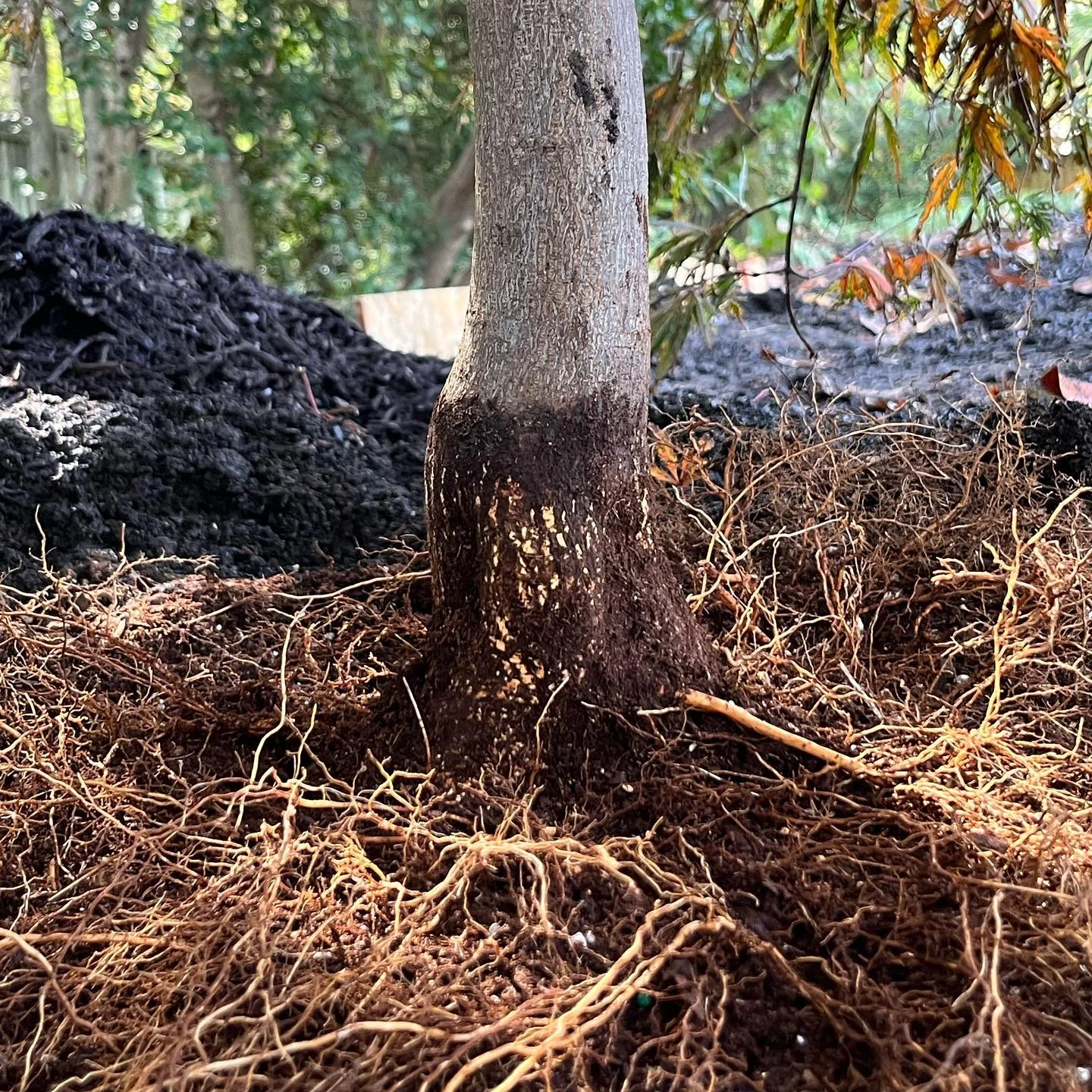 Beware of Volcanoes…