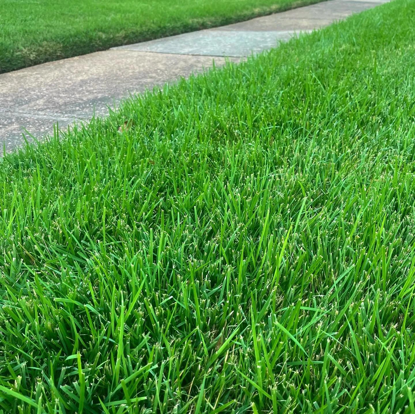 Some important tips for turf installation&hellip; since it seems to be all we&rsquo;ve been doing lately!

#1.  Planning and prep-work is key: 
-Use hard, clay (fill) dirt for leveling low spots. Nobody wants a soggy yard. Use a small amount of &ldqu