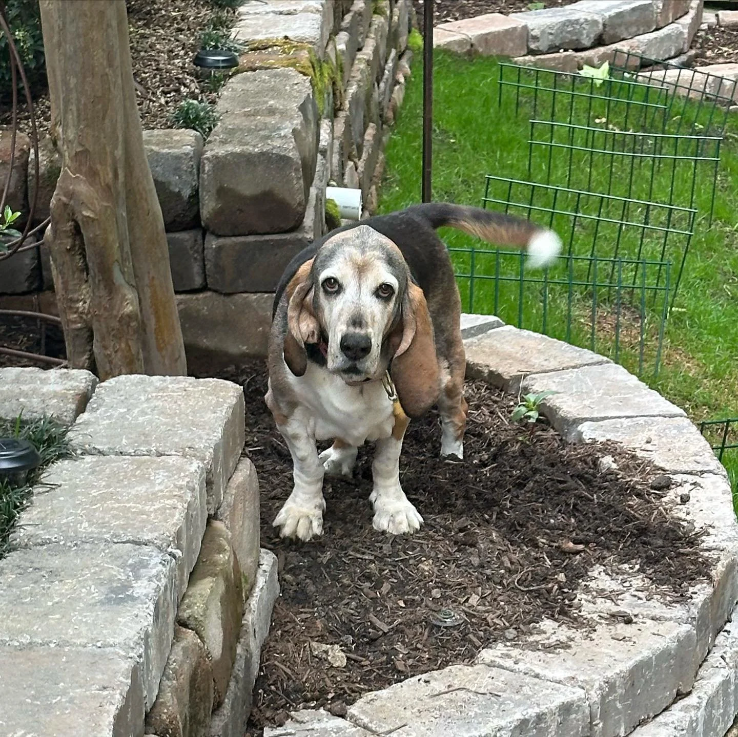 Recycle, reduce, reuse... Some of our favorite projects involve reworking materials the client already has lying around. Most of the blocks and pavers in this project were scattered throughout the landscaping. There was a lot of cutting of material i