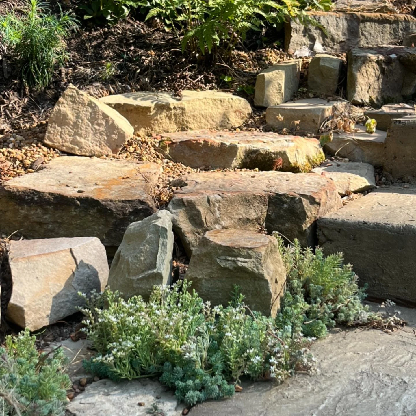 It&rsquo;s been a privilege watching these gardens grow ever since our initial installation three years ago. It&rsquo;s always fun turning a blank slate into something beautiful, inviting, and care-free. 

#gardens #gardenbeds #landscaping #planting 