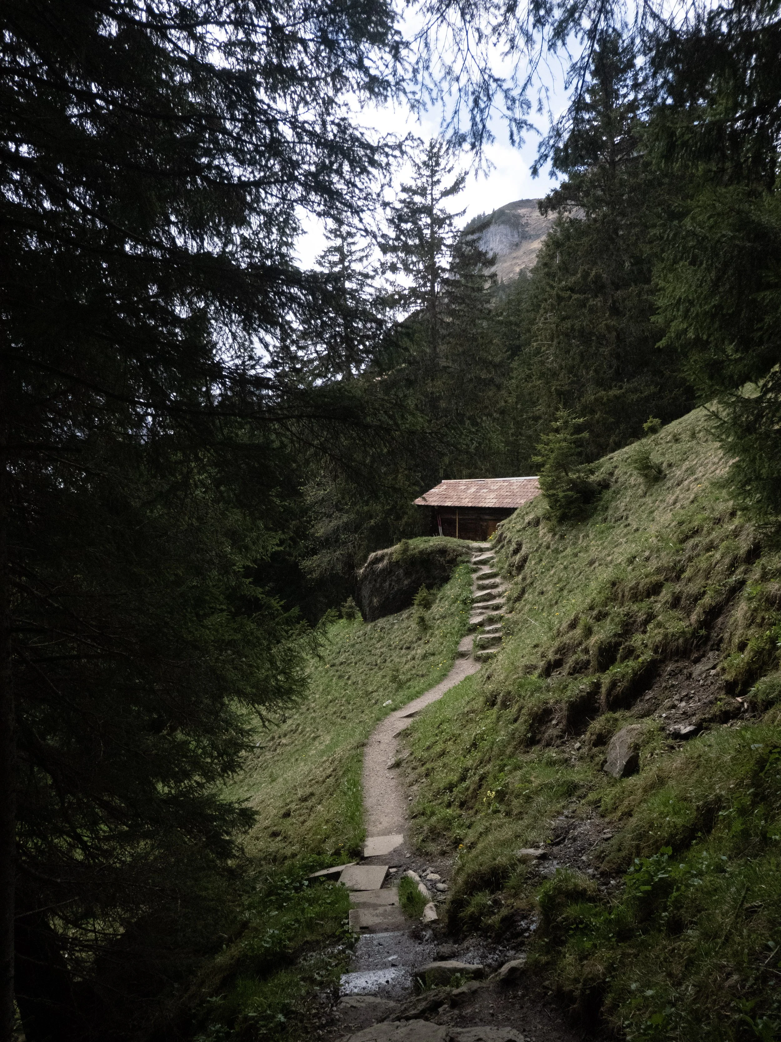 P1211491 (1).jpg